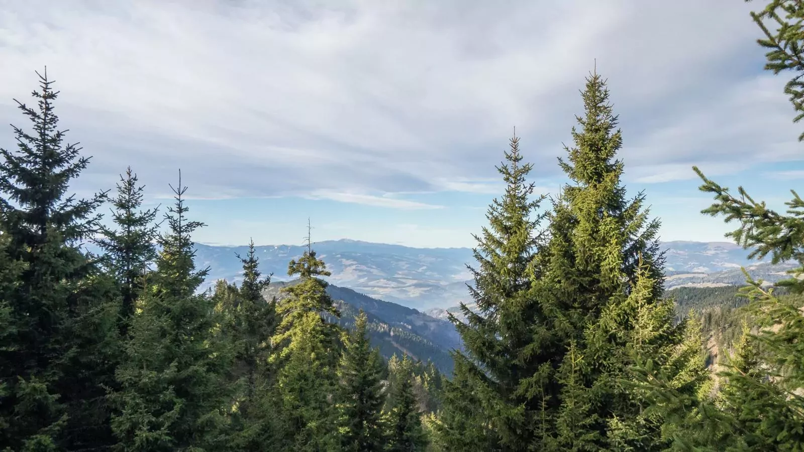 Chalet Bergoase-View summer