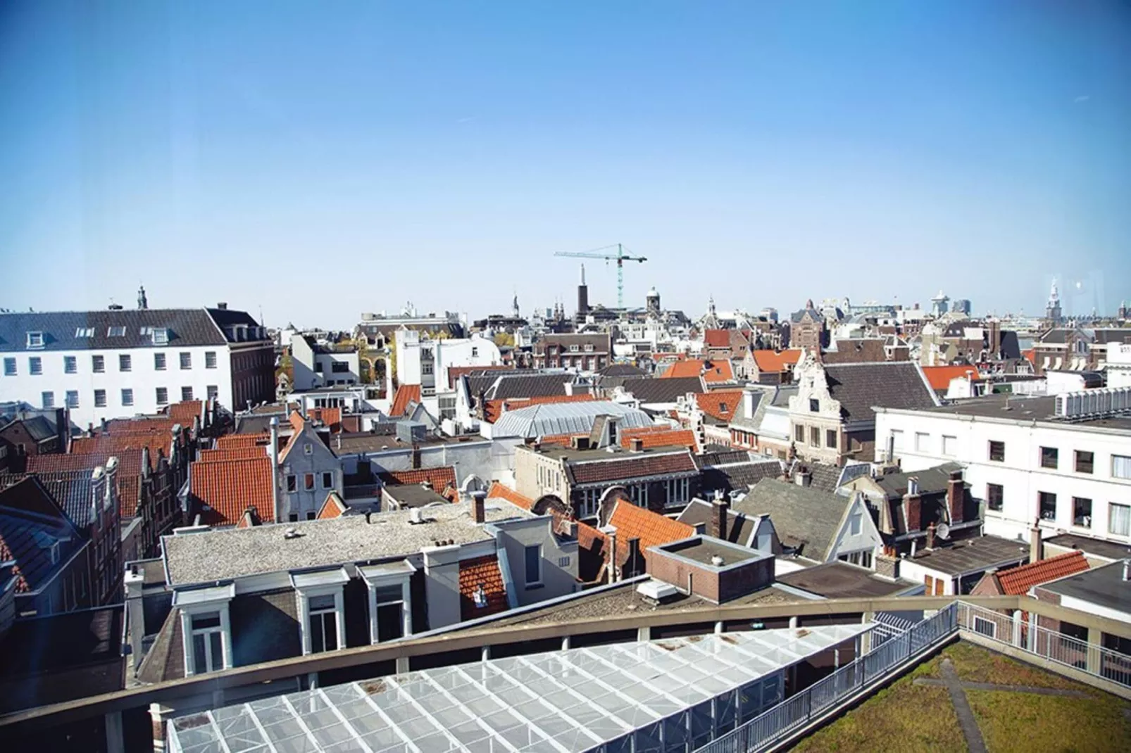 REMBRANDT 502-Areas summer 20km