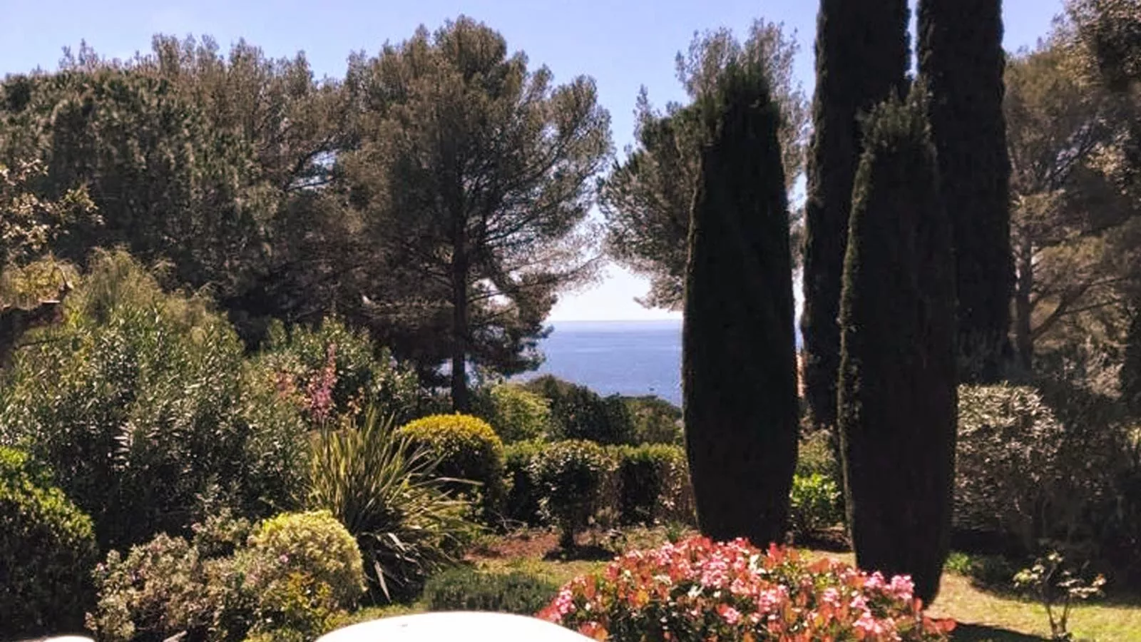 Loumic-View summer
