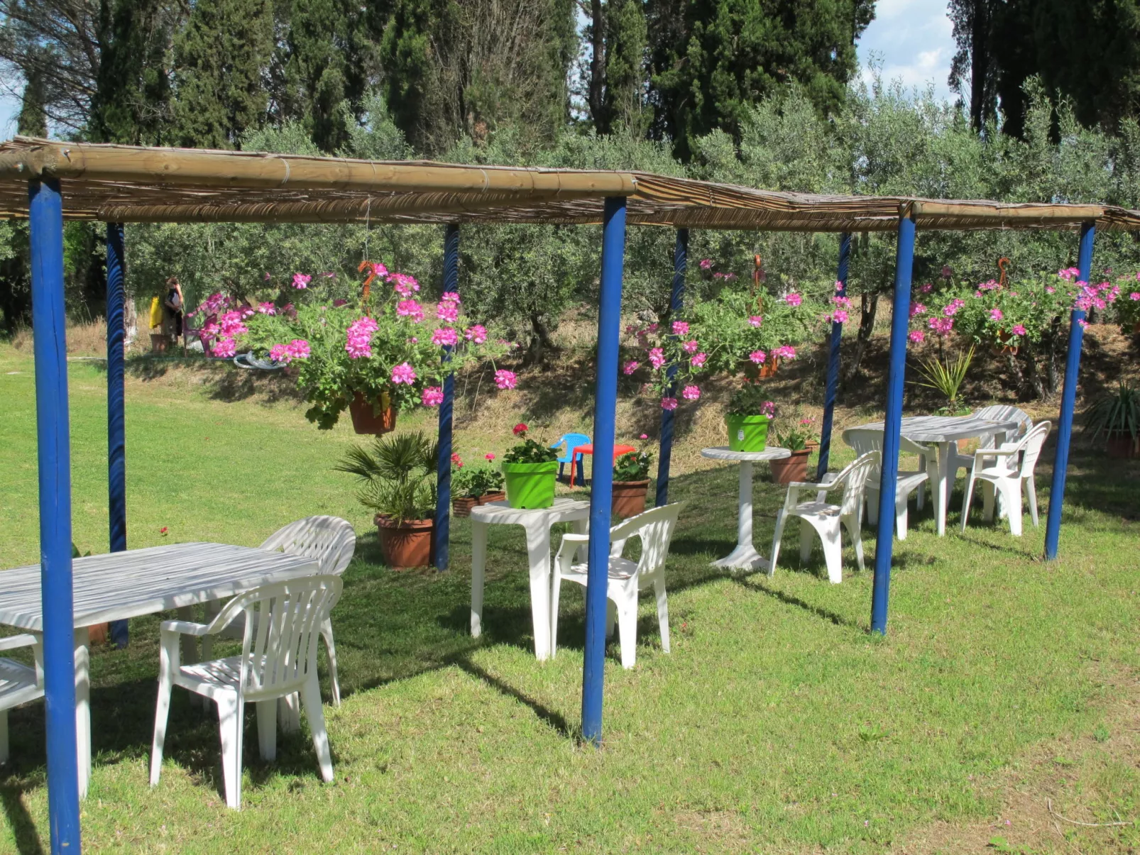 Podere Conte Francesco-La Palma-Outside