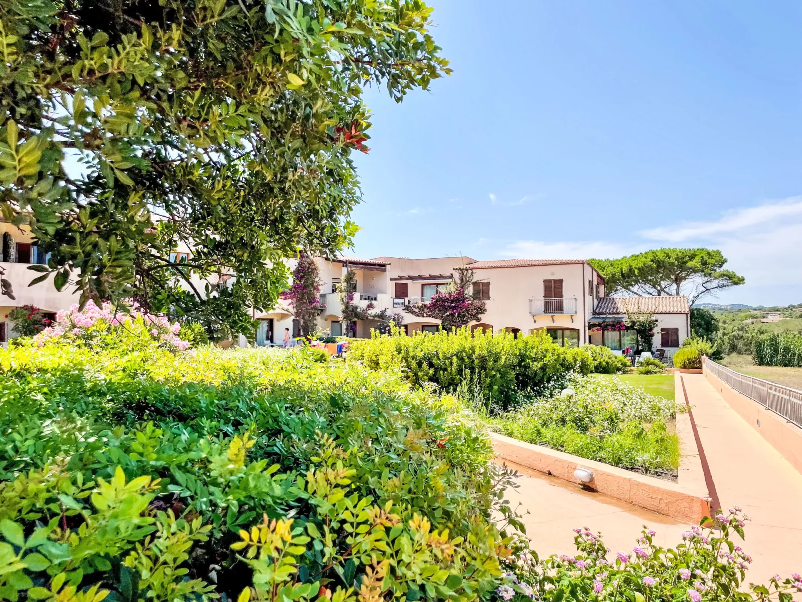 I Mirti di Porto Pozzo (PPZ122)