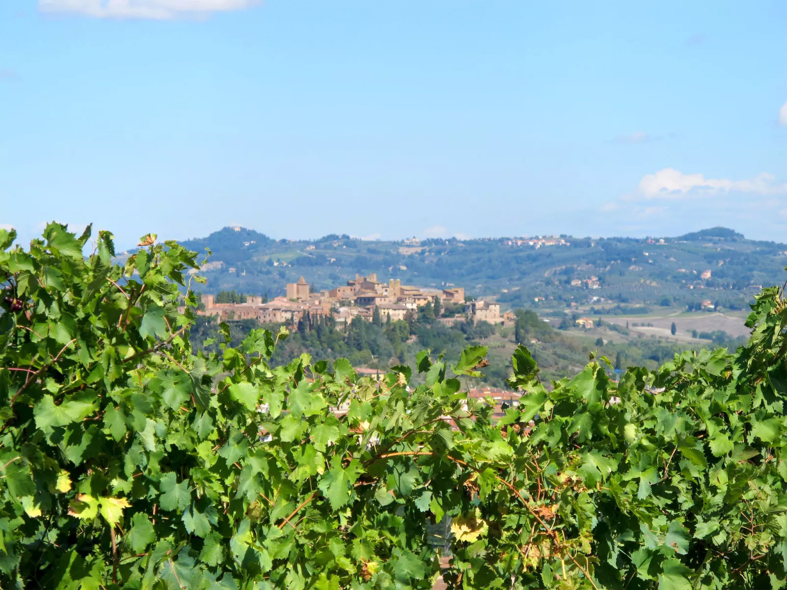 Podere Conte Francesco-Carla-Area