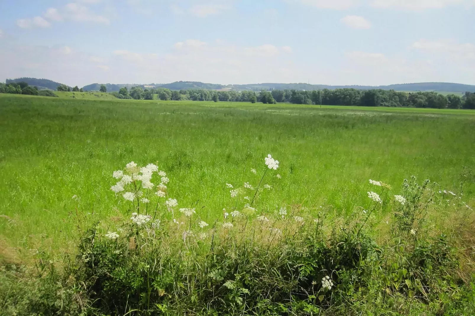 Habicht 1-2 Pers-Gärten Sommer