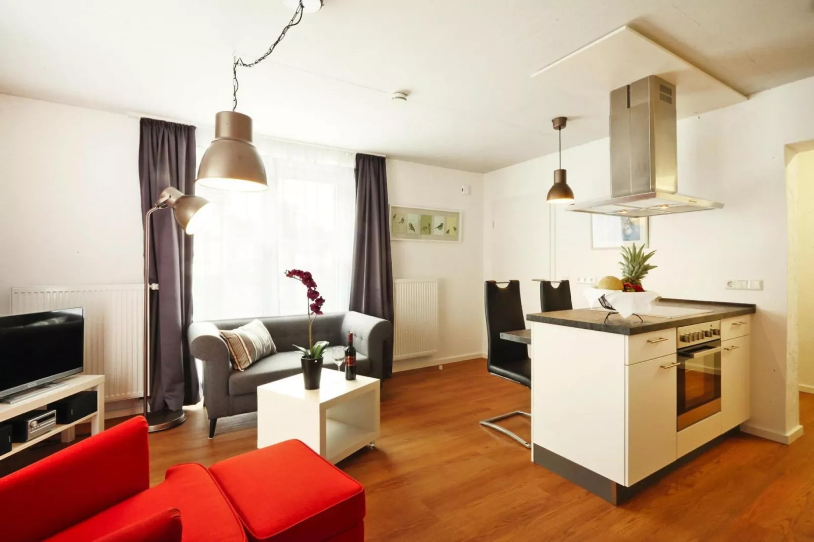Zaunkönig-Living room
