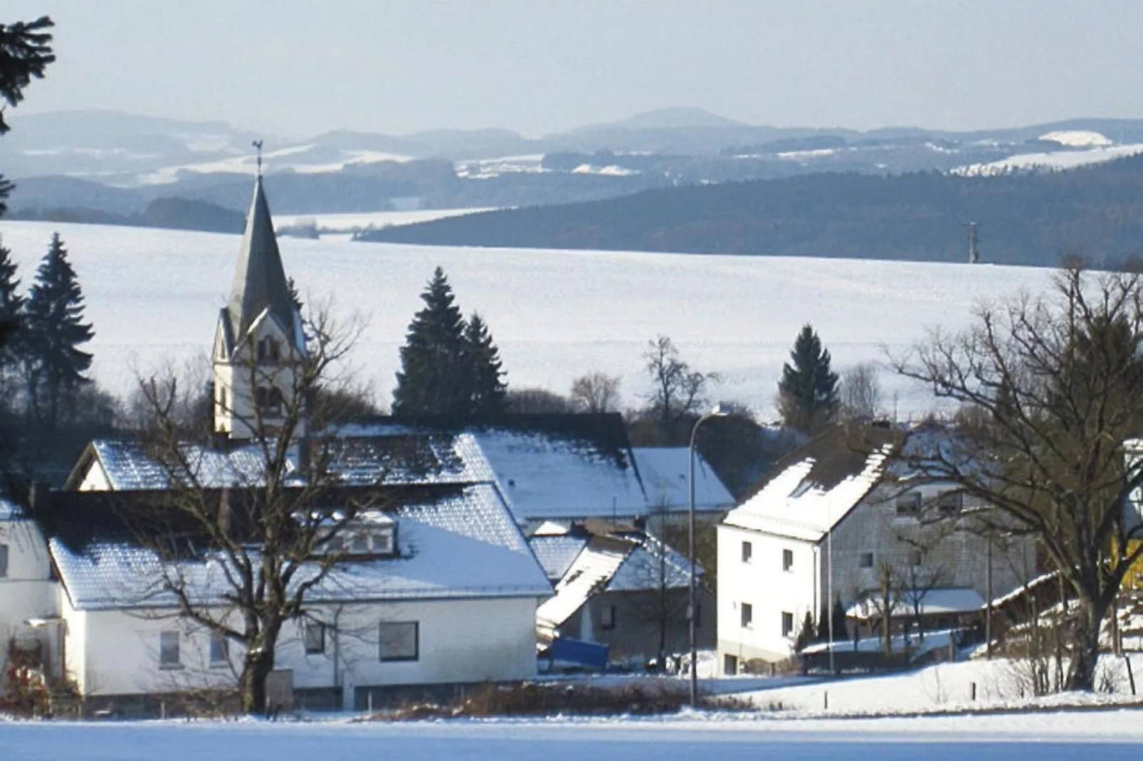 Zaunkönig-Exterior winter