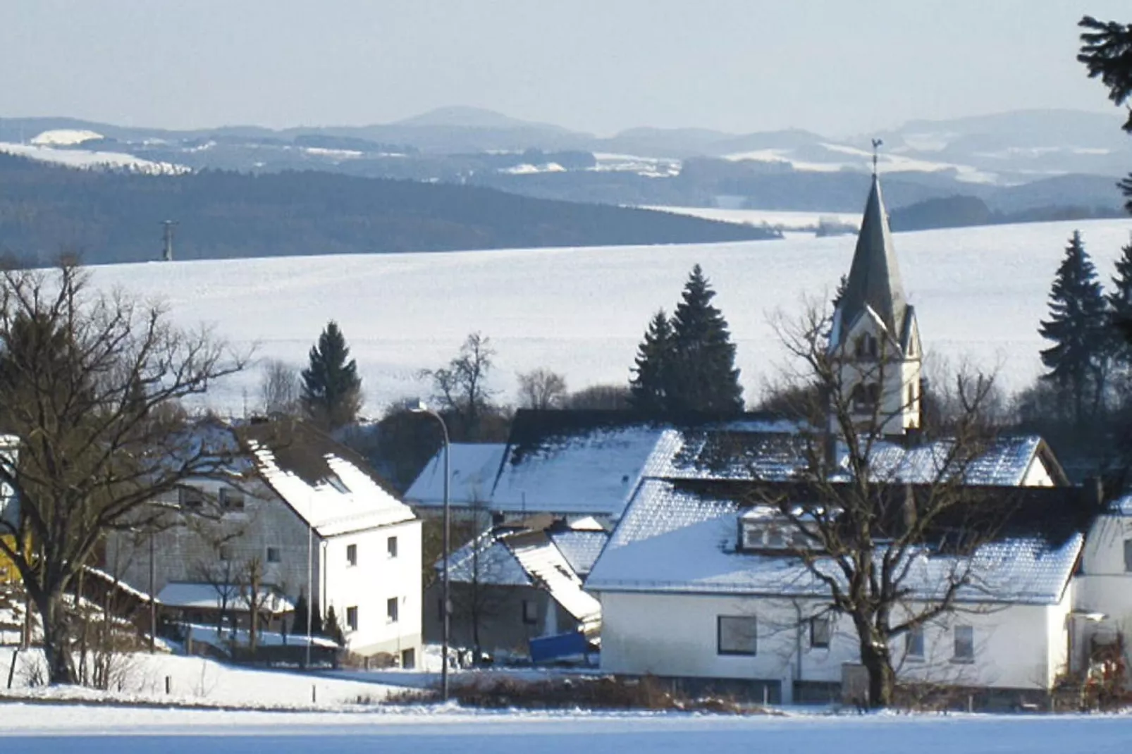 Zaunkönig-Exterior winter