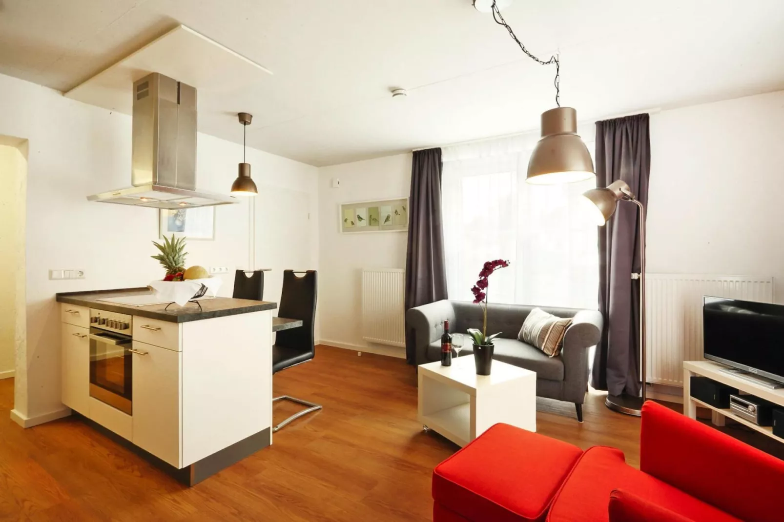 Zaunkönig-Living room