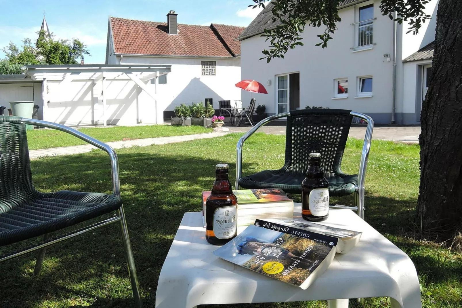 Zaunkönig-Gardens summer