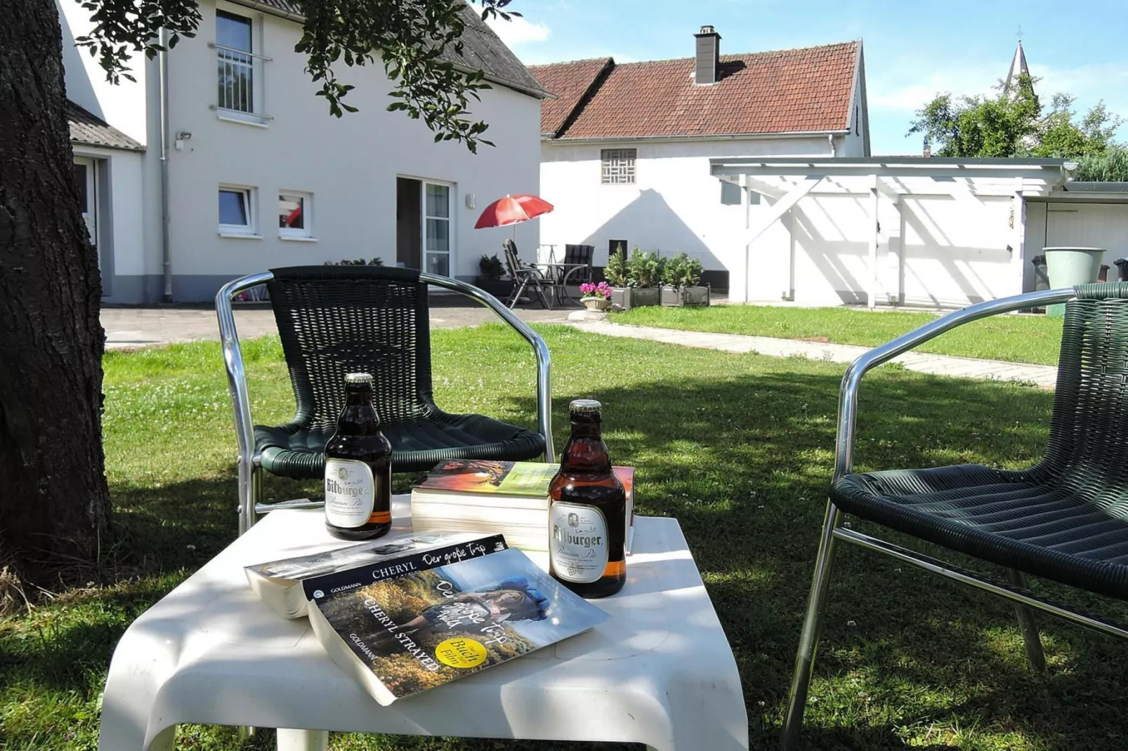 Zaunkönig-Gardens summer