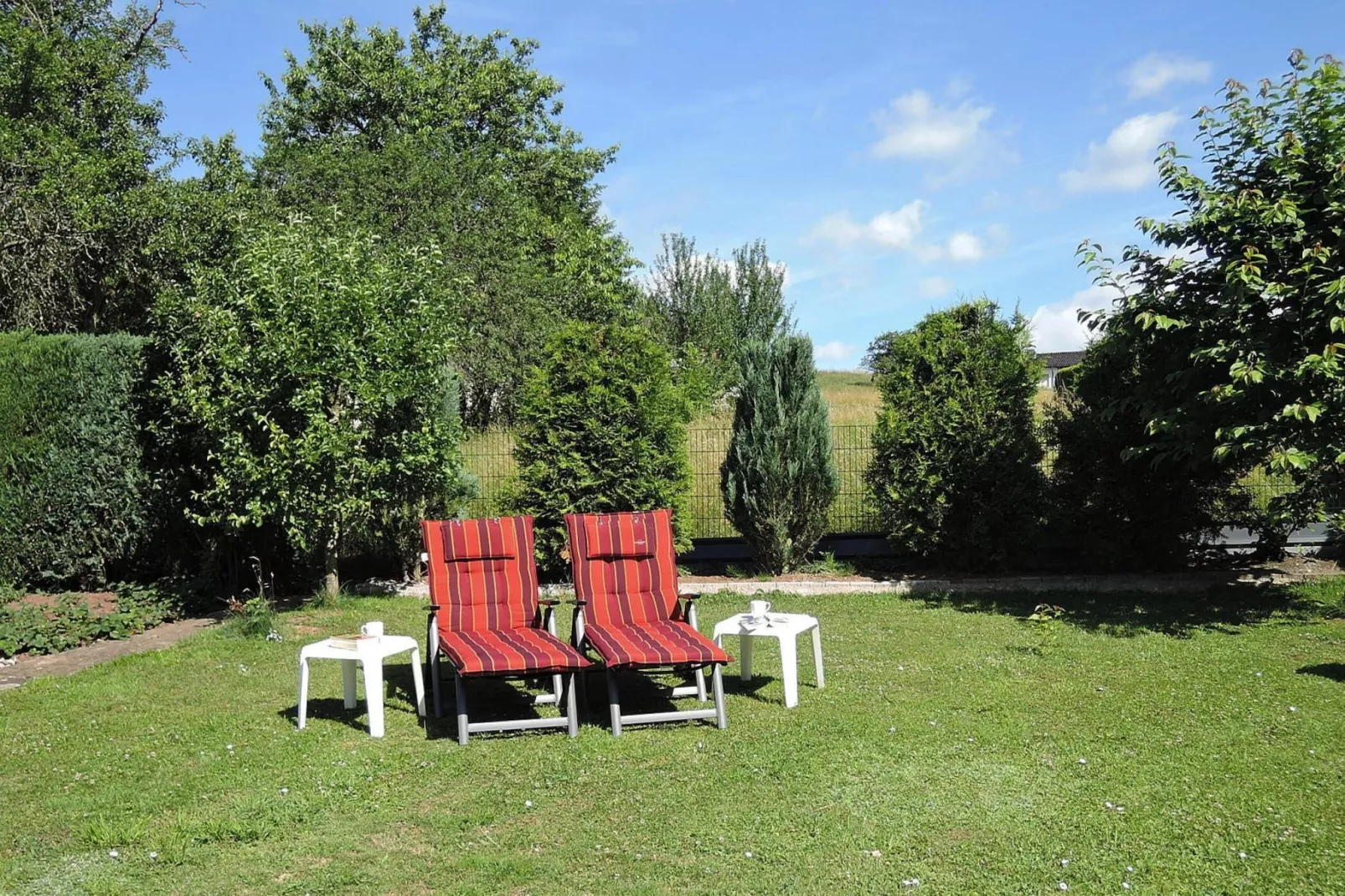 Zaunkönig-Gardens summer