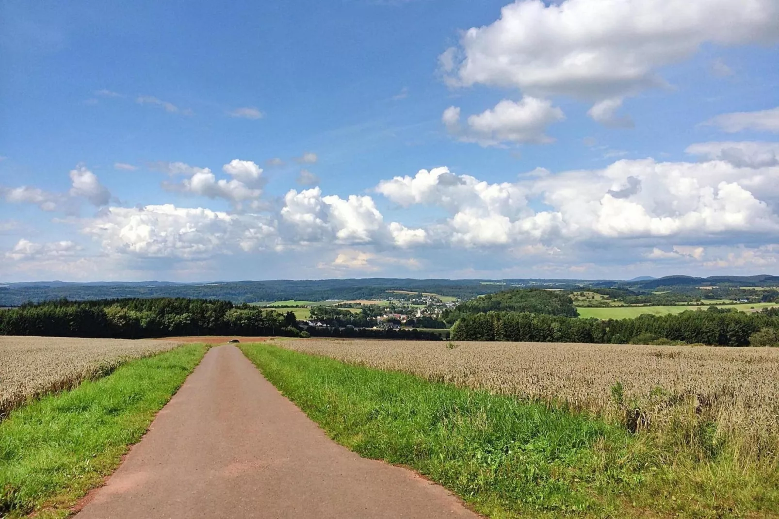 Zaunkönig-Areas summer 5km