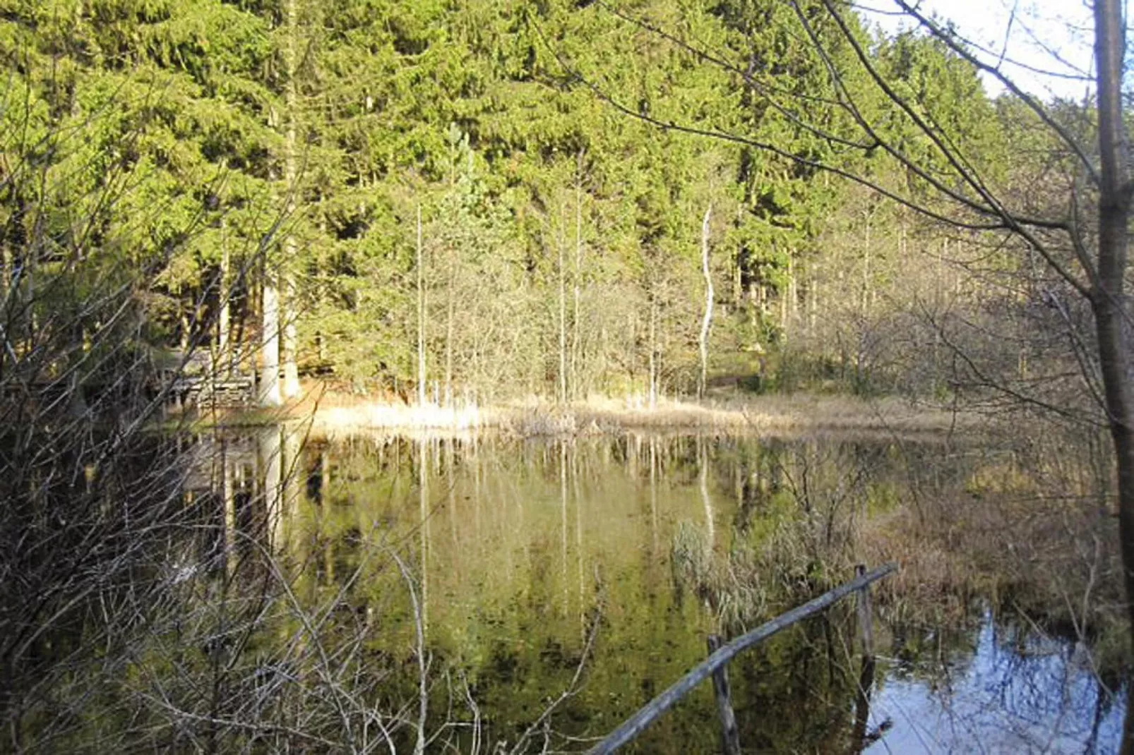 Zaunkönig-Areas summer 5km