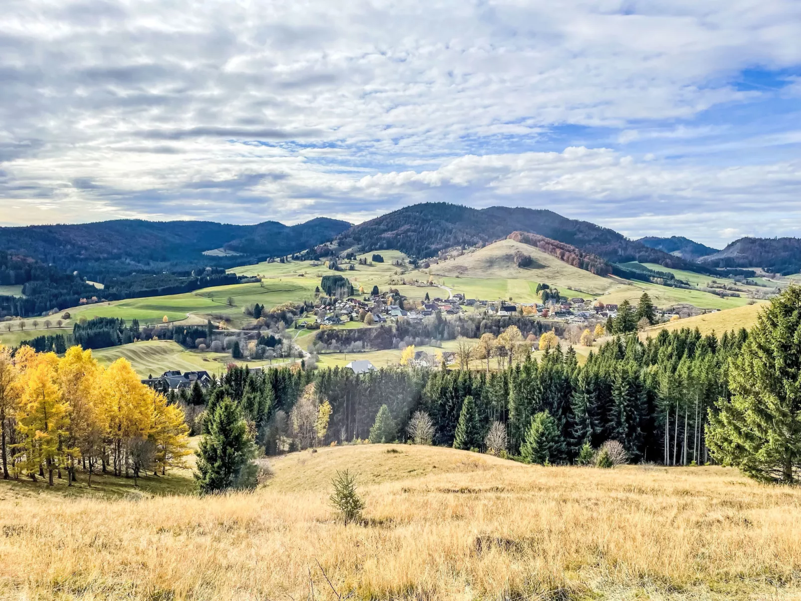 Schwarzwaldblick I-Area