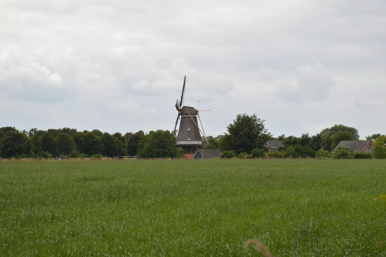 Bakhuus-Gardens summer