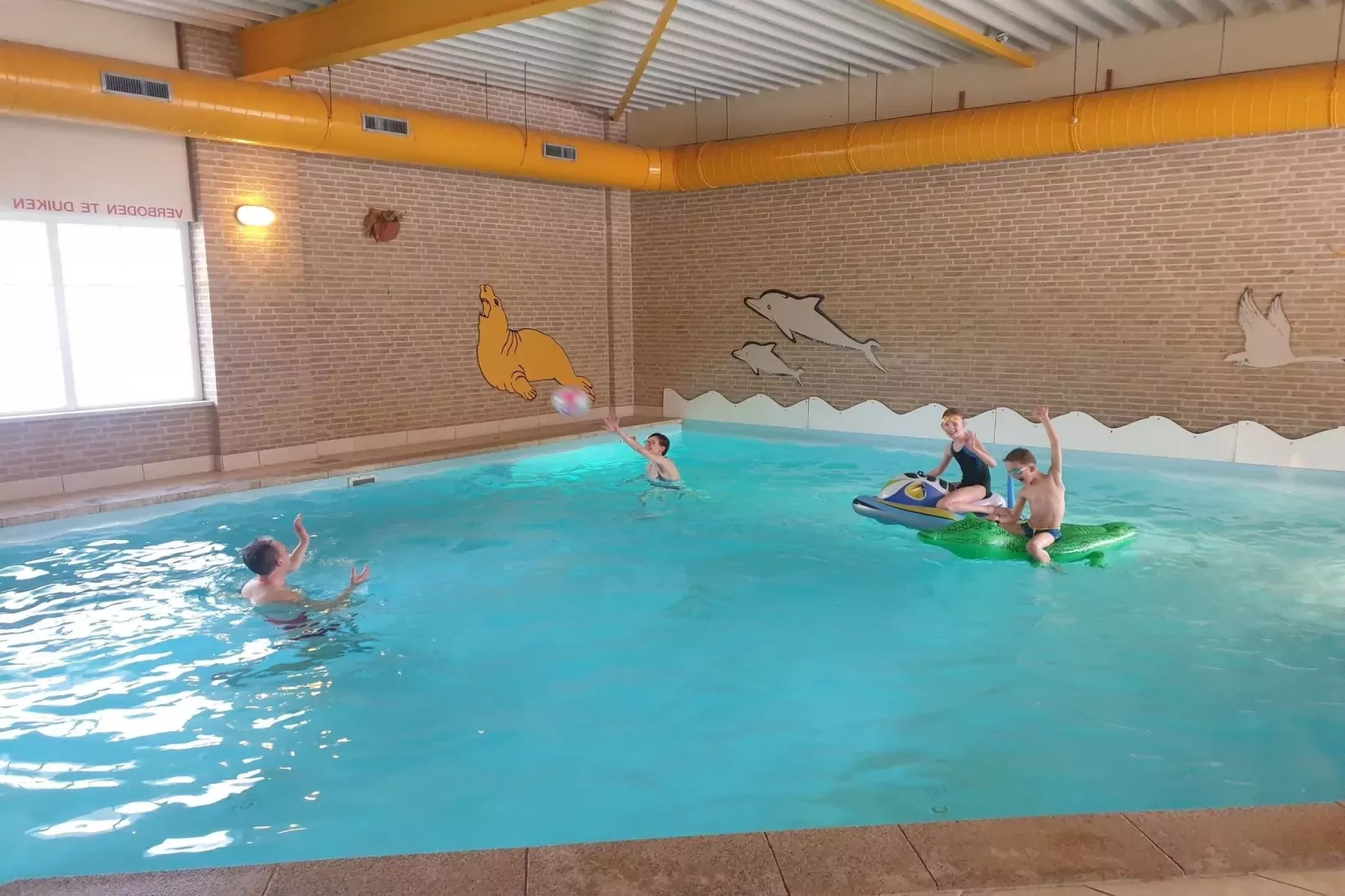 Vakantiepark Hellendoorn 1-Schwimmbad