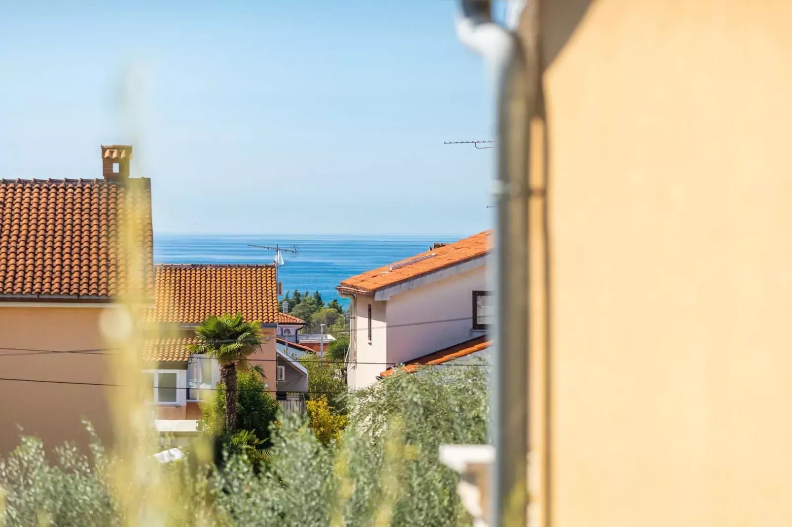 Premium Apartment Hari II-View summer