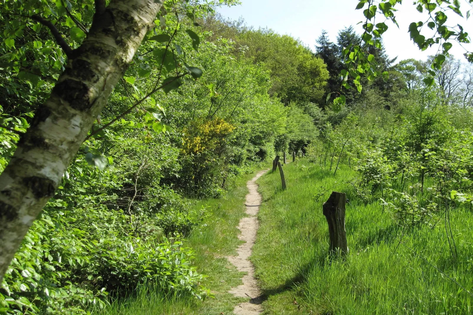 De Grimberghoeve 2-Areas summer 1km