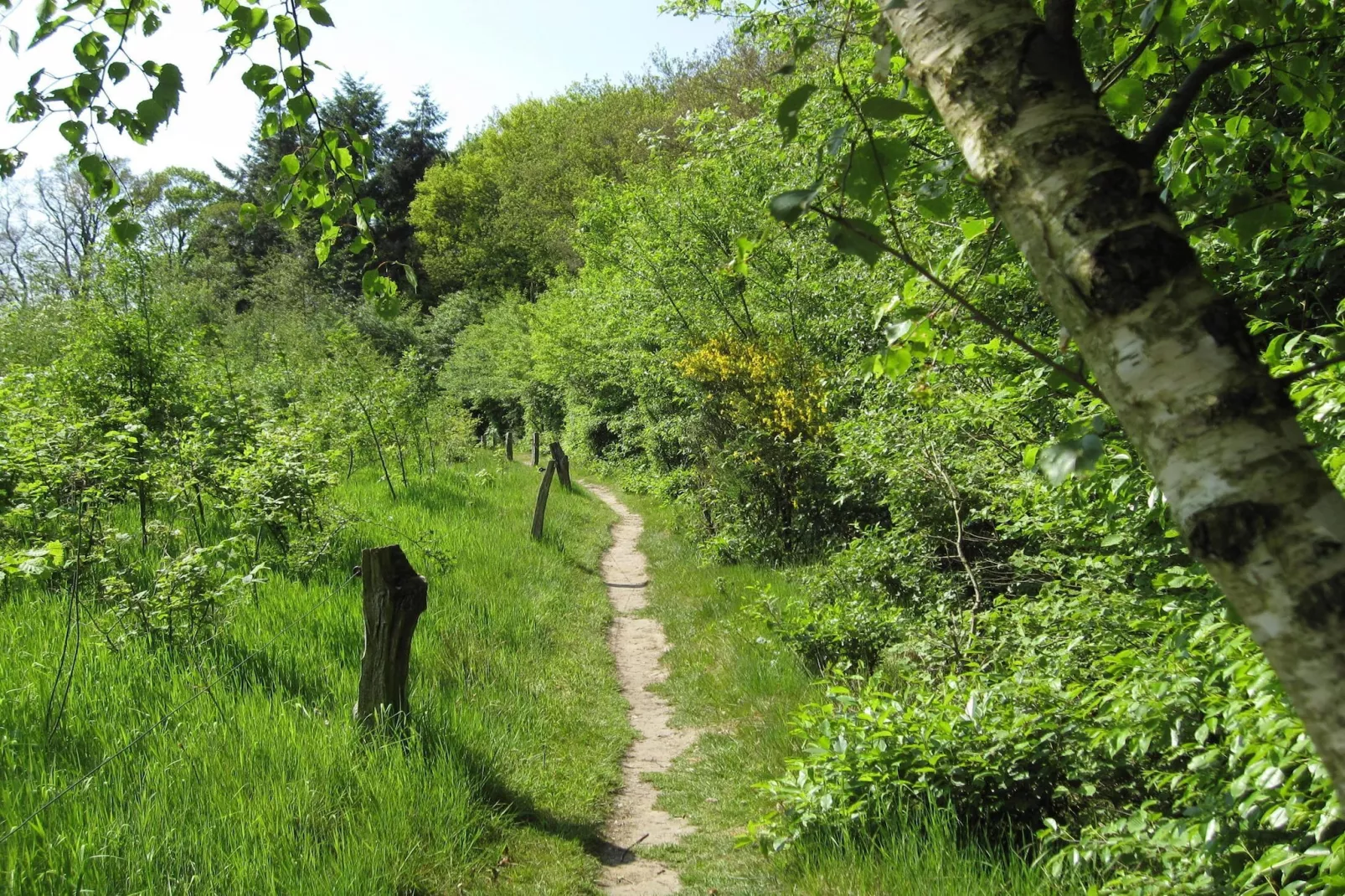 De Grimberghoeve 2-Areas summer 1km