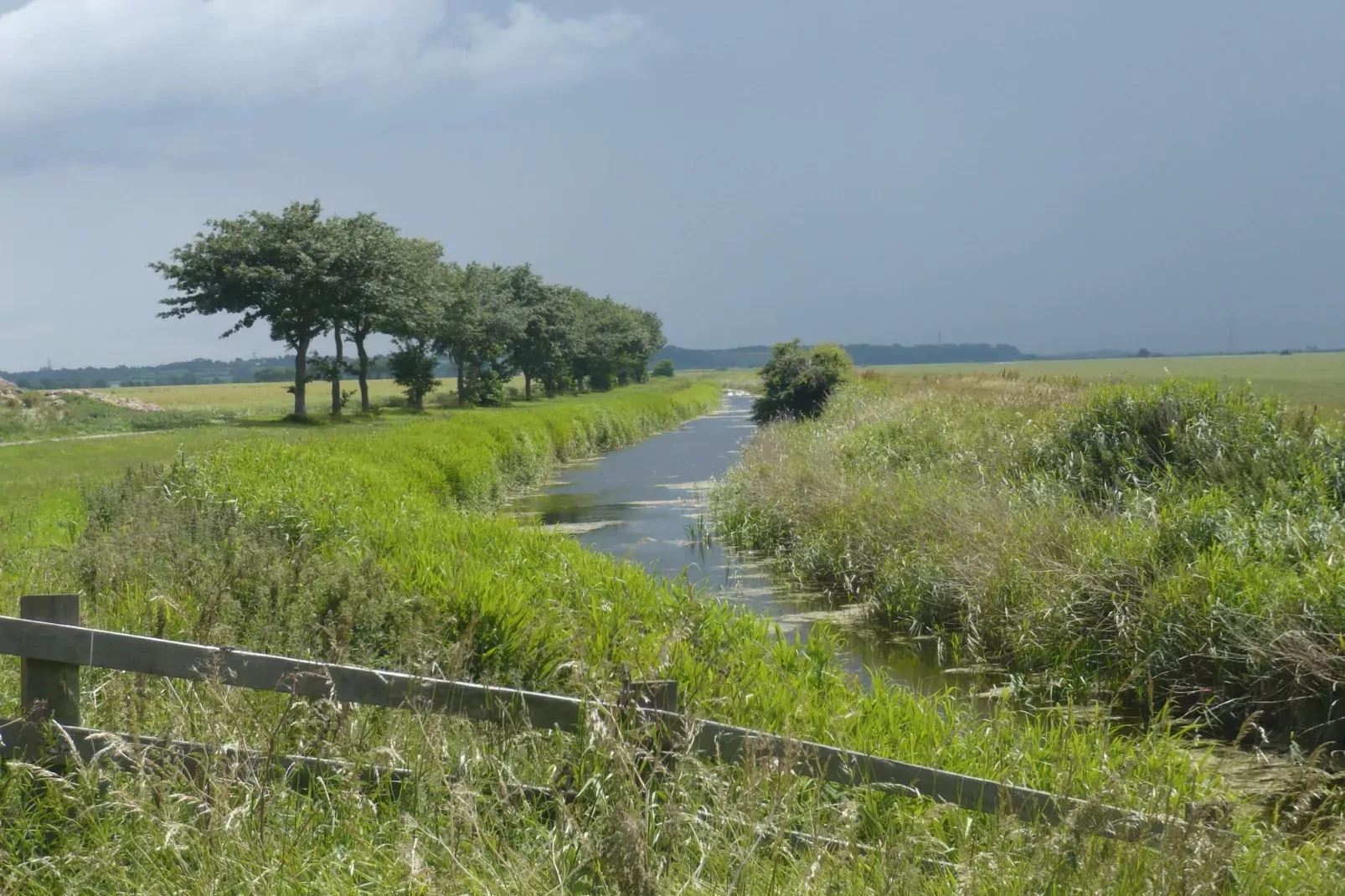 Rainbow Petty-Areas summer 5km