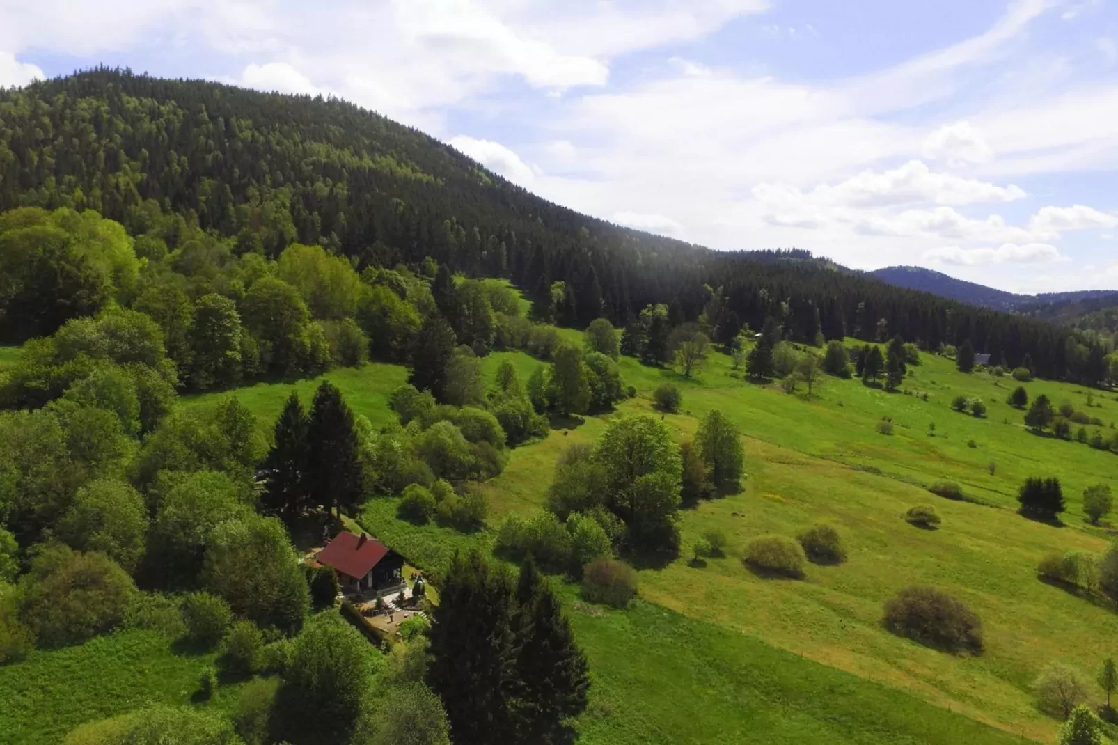 Am Hermannsberg-View summer