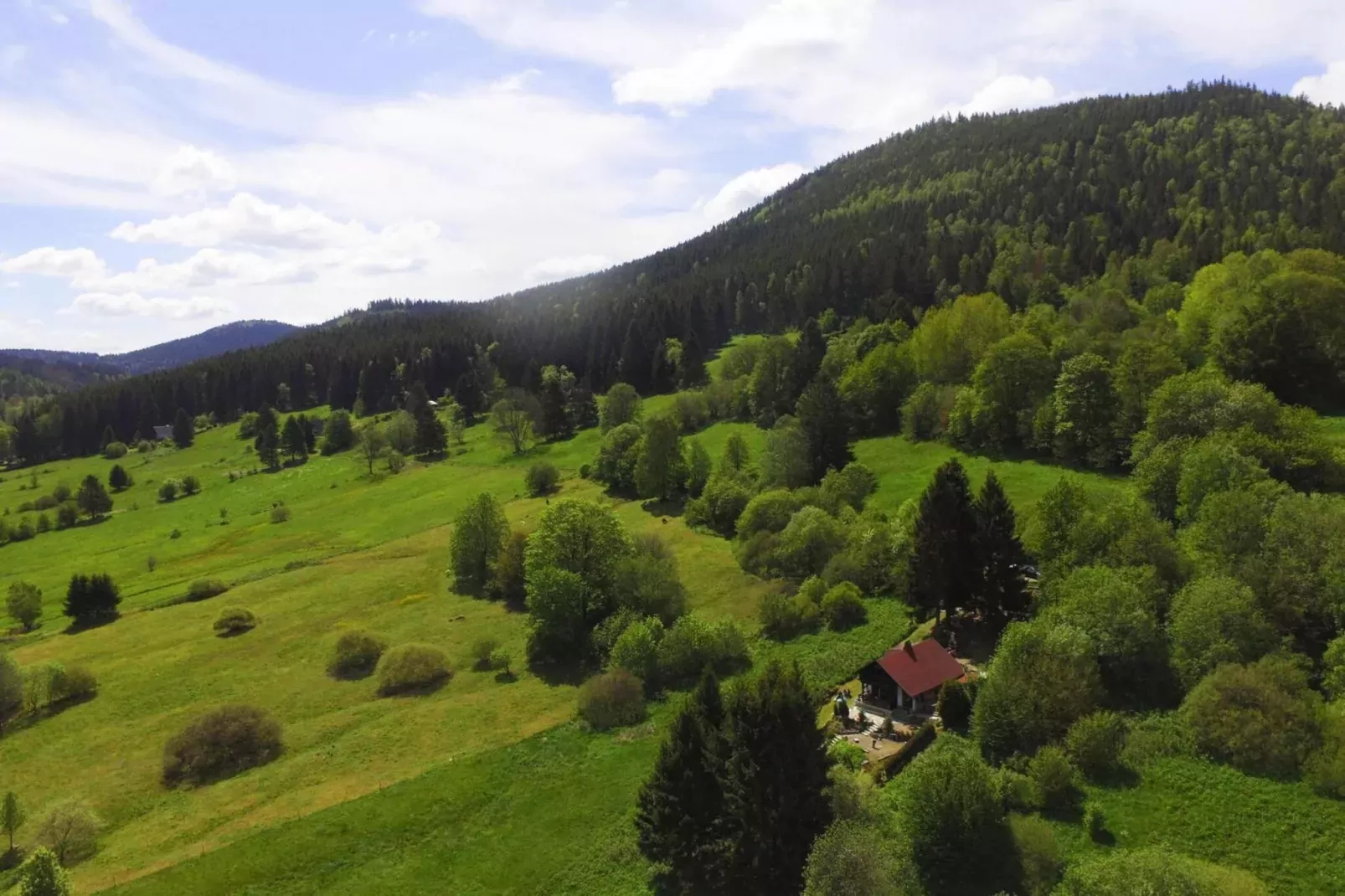 Am Hermannsberg-Areas summer 1km