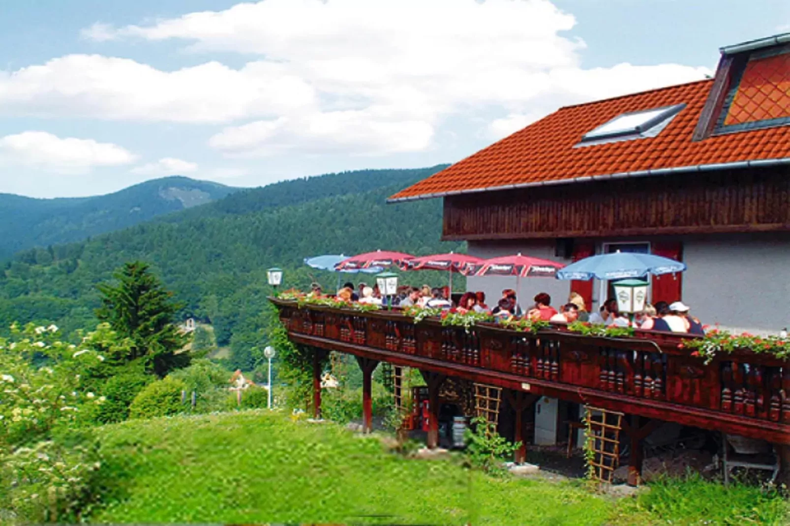 Am Hermannsberg-Areas summer 20km