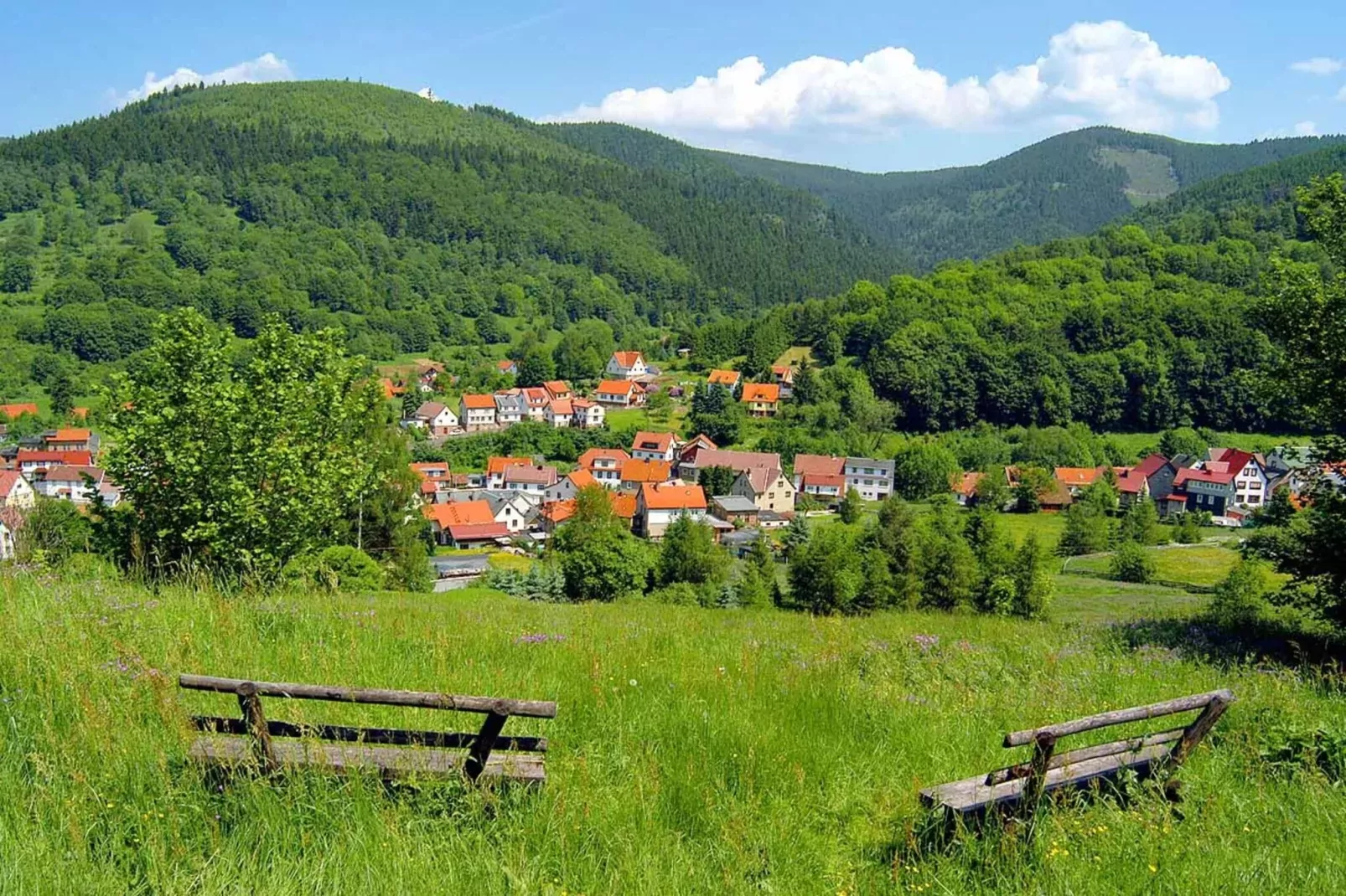 Am Hermannsberg-Areas summer 20km