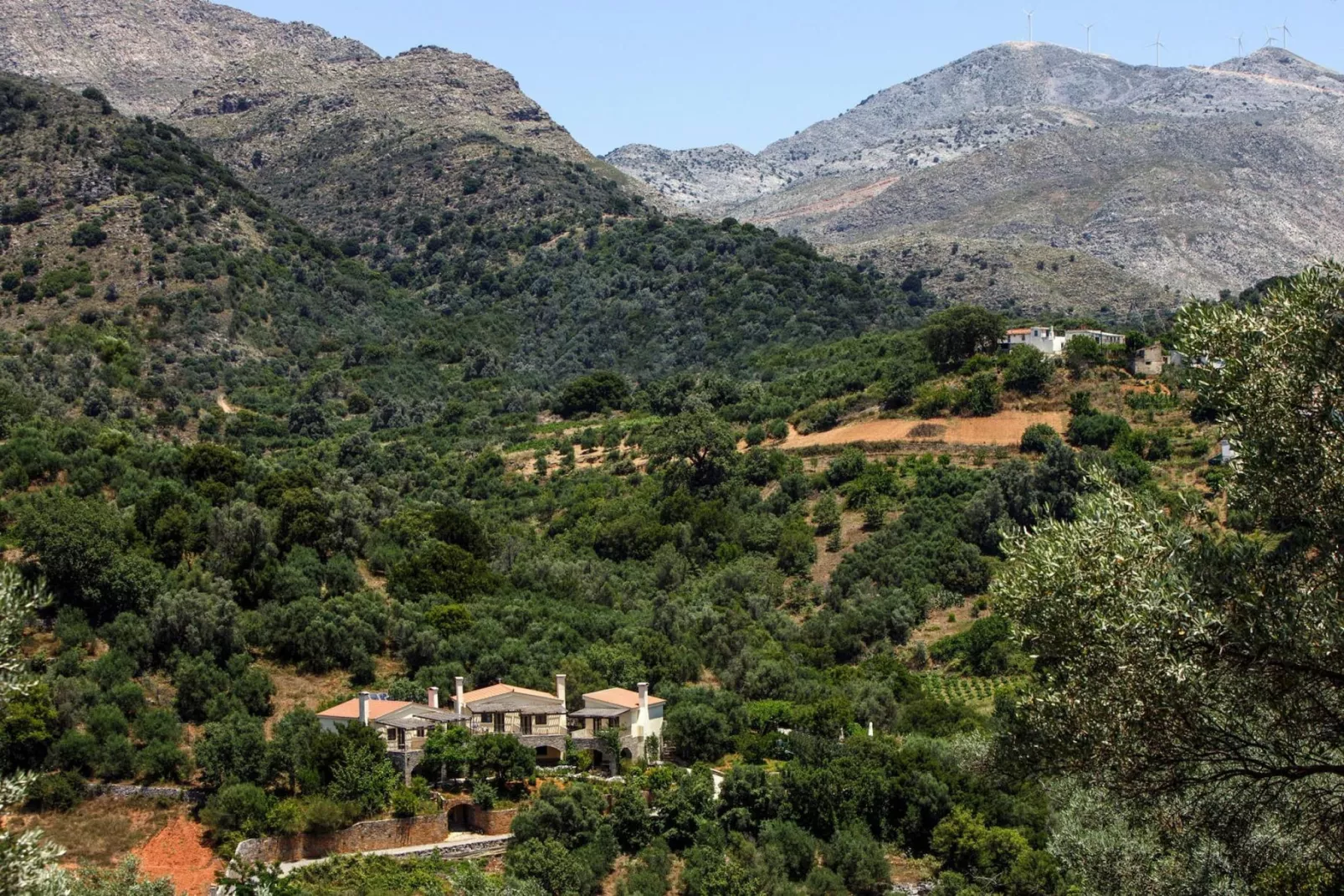 Apartments Aposperitis, Drosia-Aposperitis Appartements, ca. 40 qm, 4 pax-Areas summer 1km