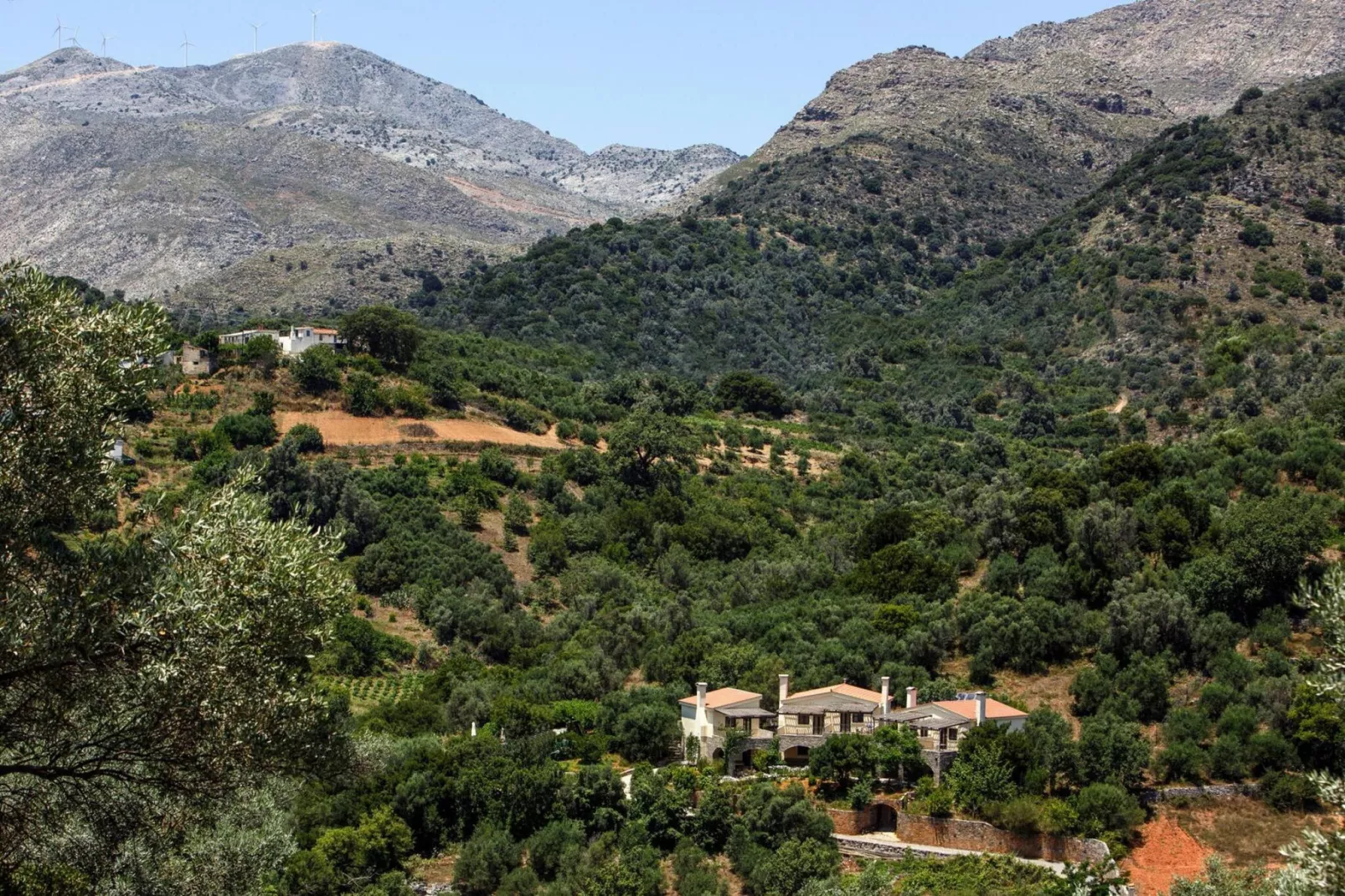 Apartments Aposperitis, Drosia-Aposperitis Appartements, ca. 40 qm, 4 pax-Areas summer 1km