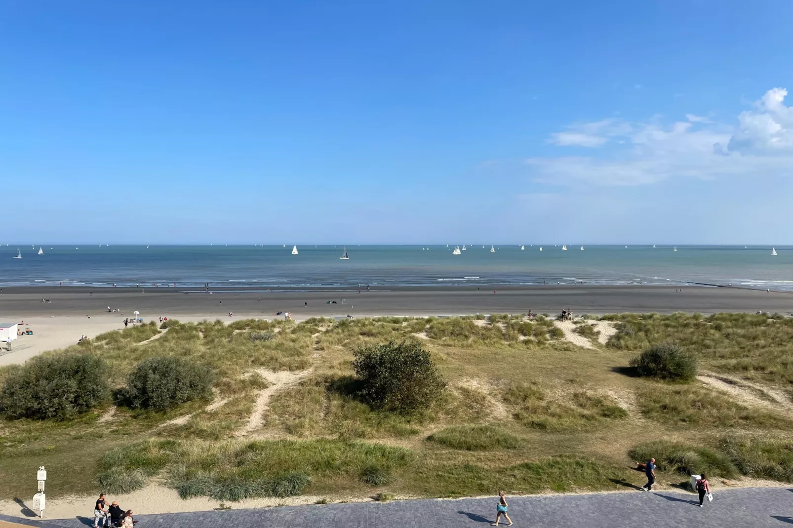 viewsummer