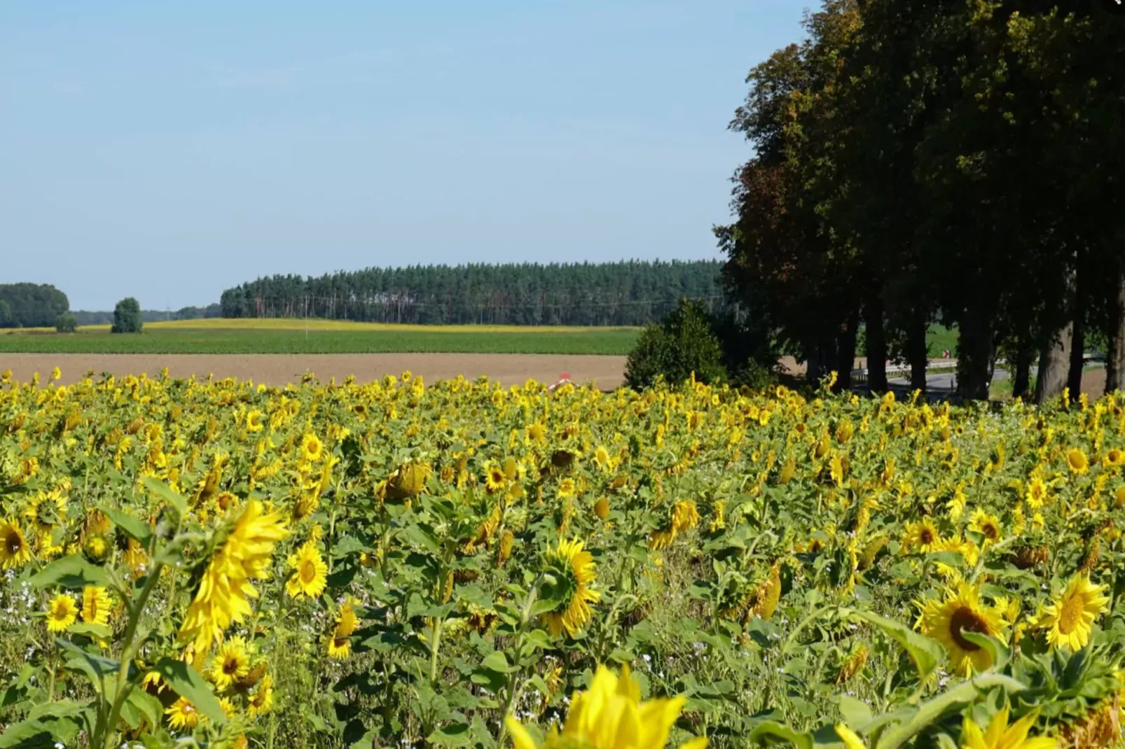 Bettina Haus 4 80 qm 4 Personen-Areas summer 5km