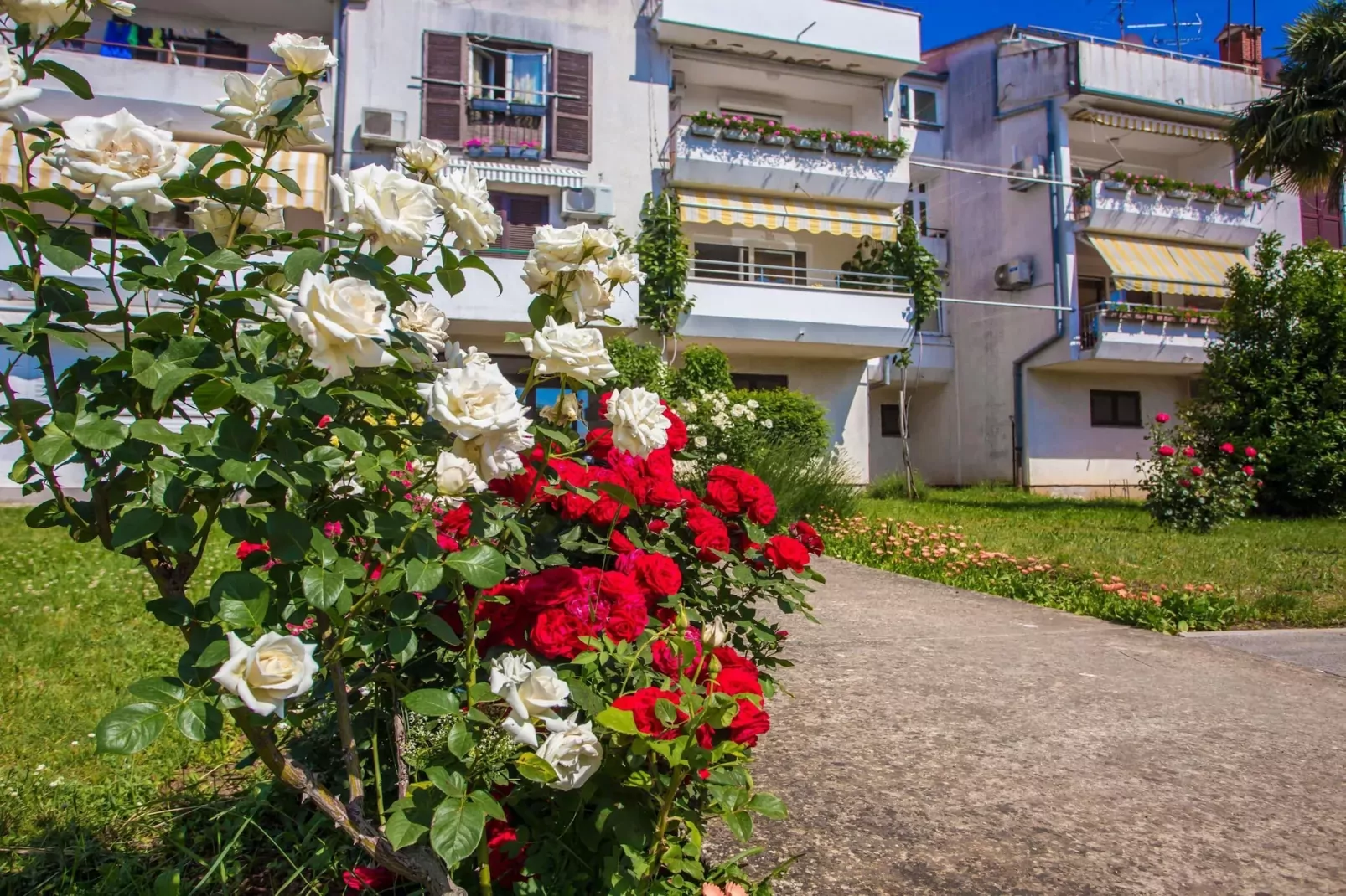 Apartment Tereza Porec-Außenbereich Sommer