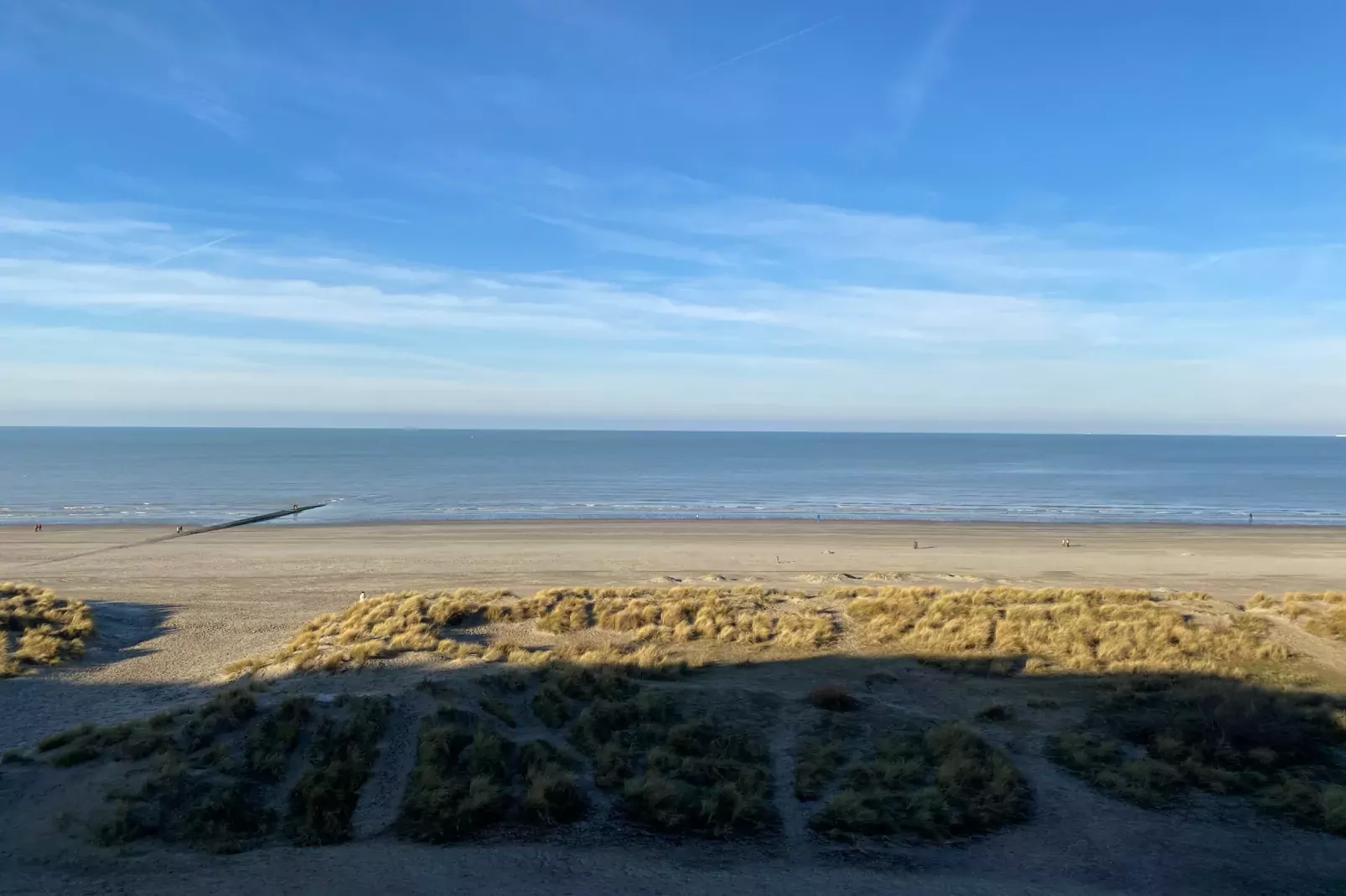 ZONNESTRAAL 503-View summer