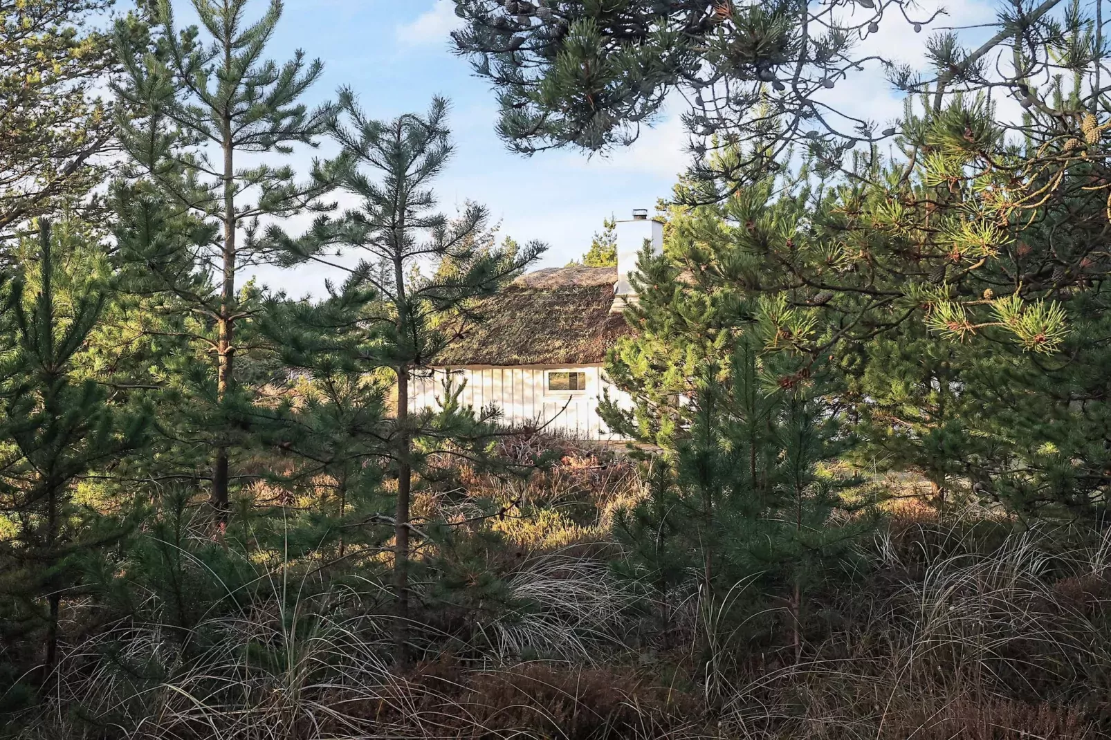 8 Personen Ferienhaus in Fjerritslev-By Traum-Aussicht