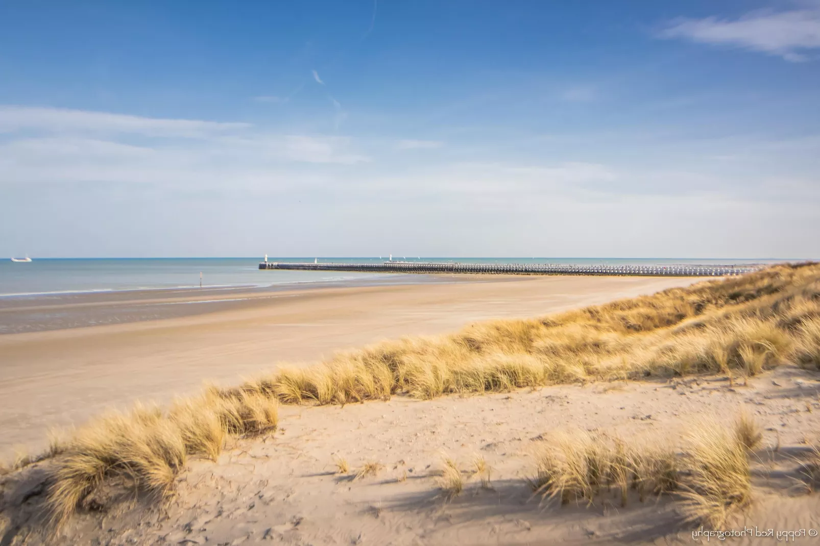 DE WARANDE IV 0303GAR-Areas summer 5km