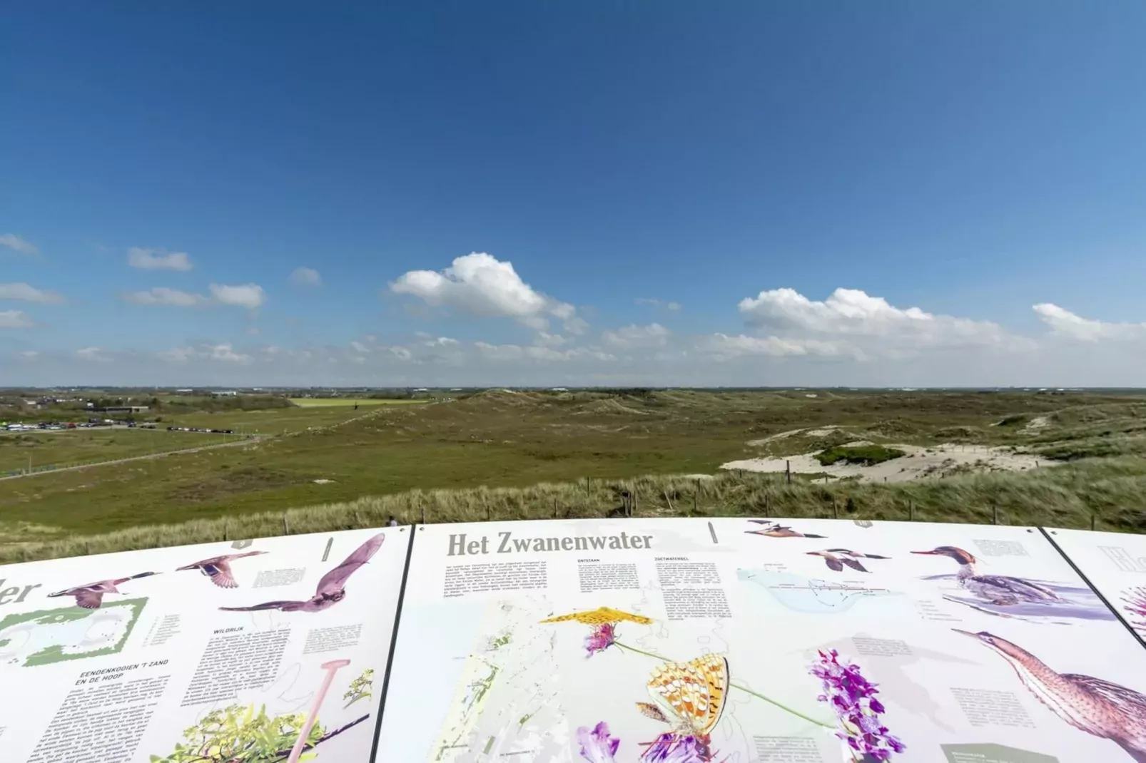 Wijde Blick 103-Areas summer 5km