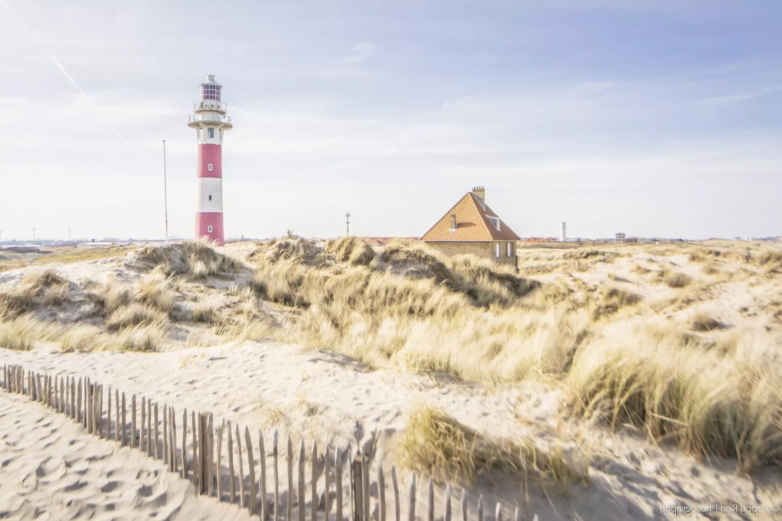 SEASIGHT A 1 / 0001-Areas summer 5km