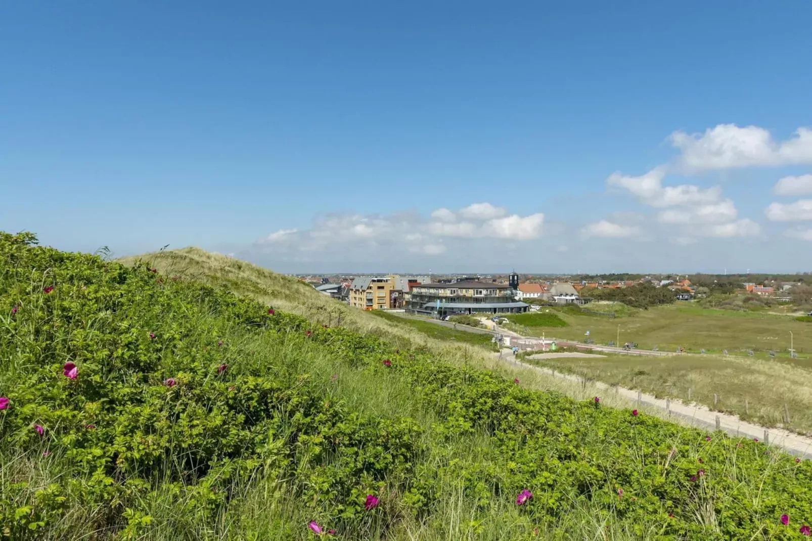 Wijde Blick 201-Areas summer 1km