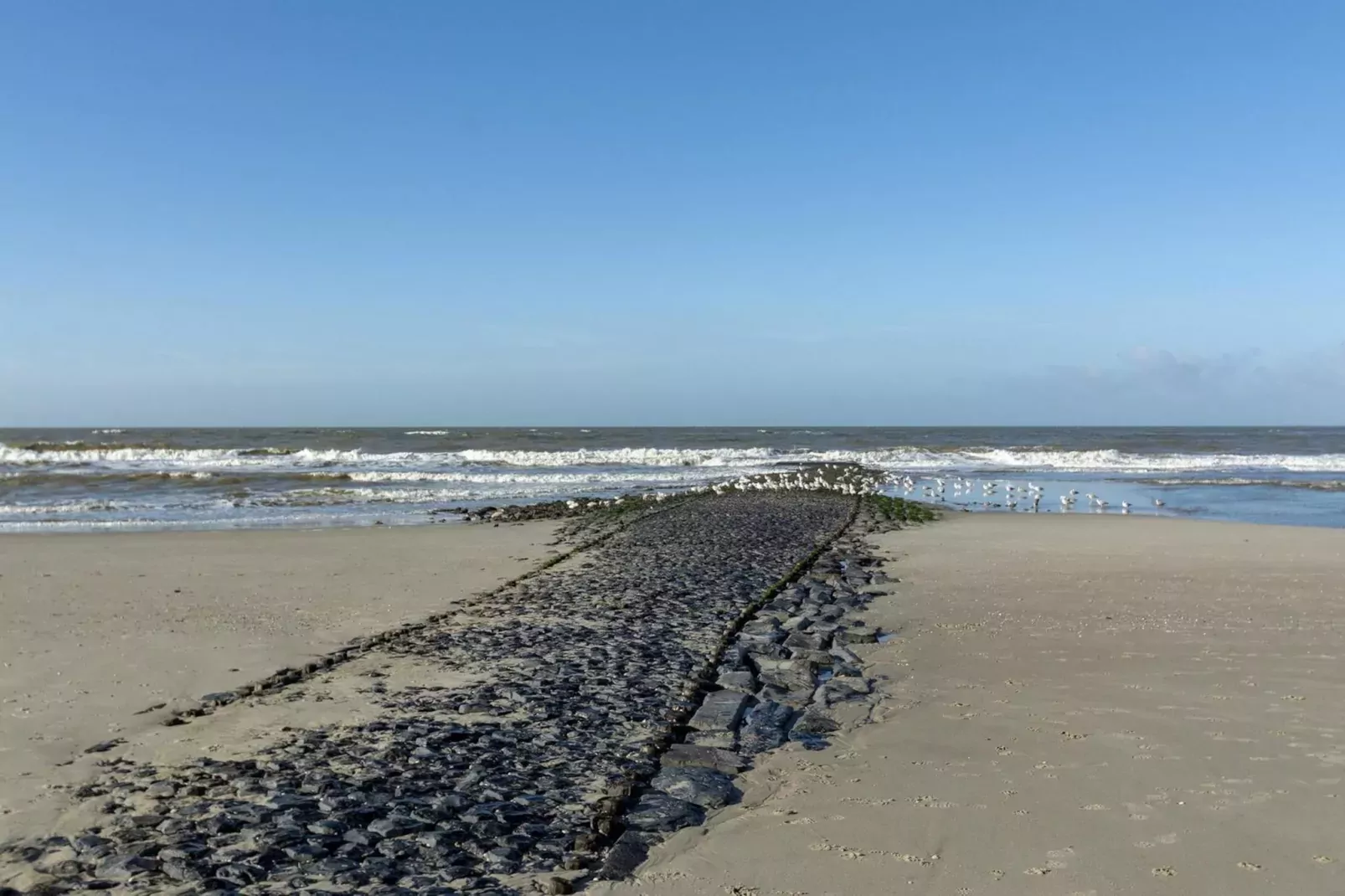 Wijde Blick 203-Areas summer 5km