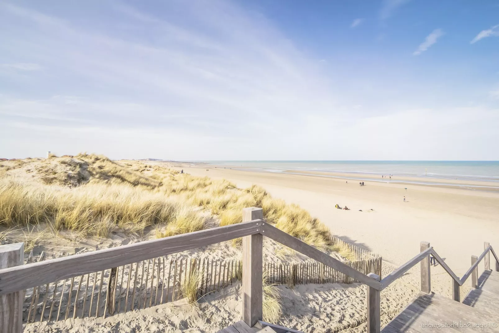 SEASIGHT A 1 / 0001-Areas summer 5km