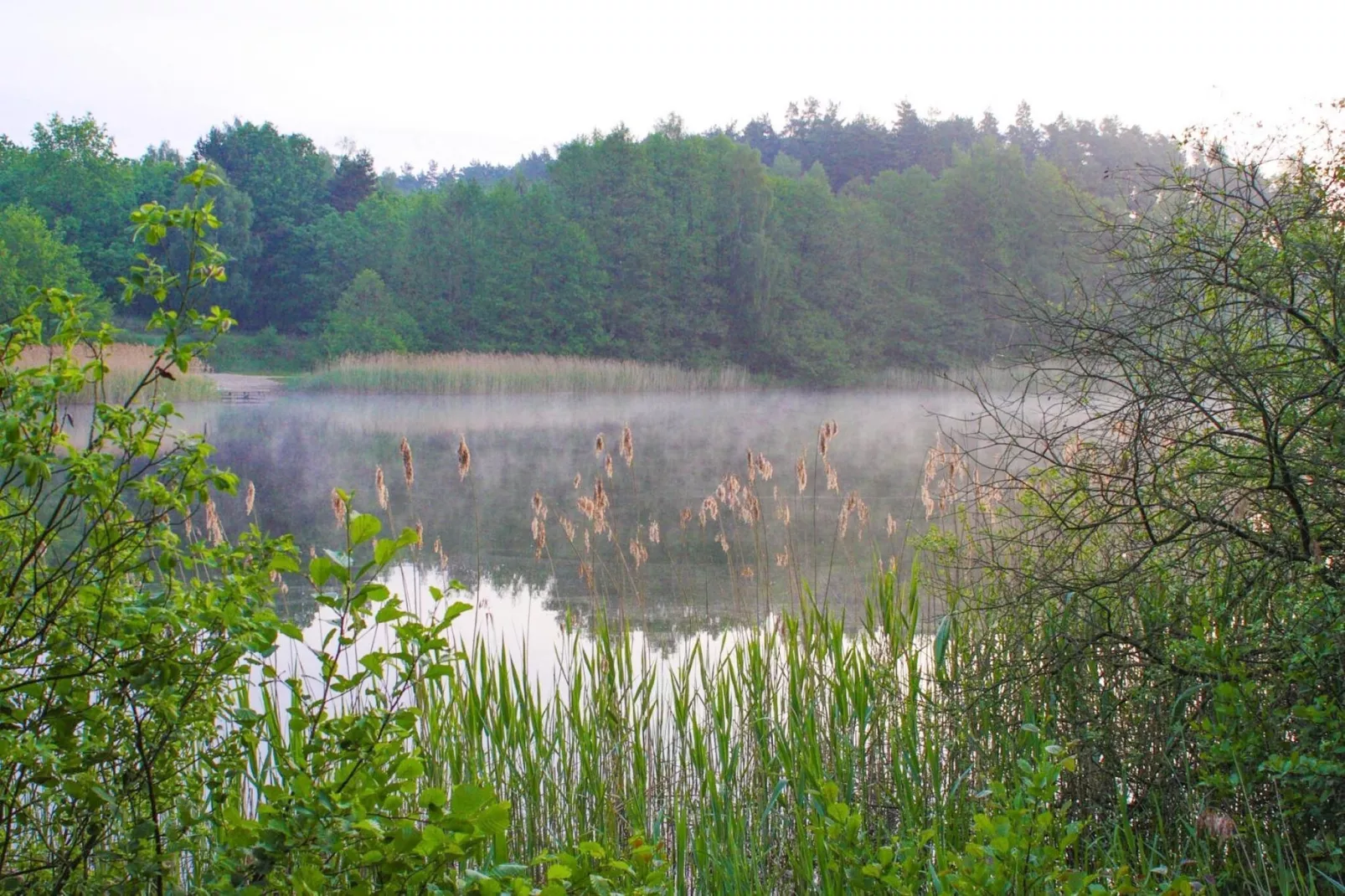 Doppelhaus Seestern-Areas summer 5km