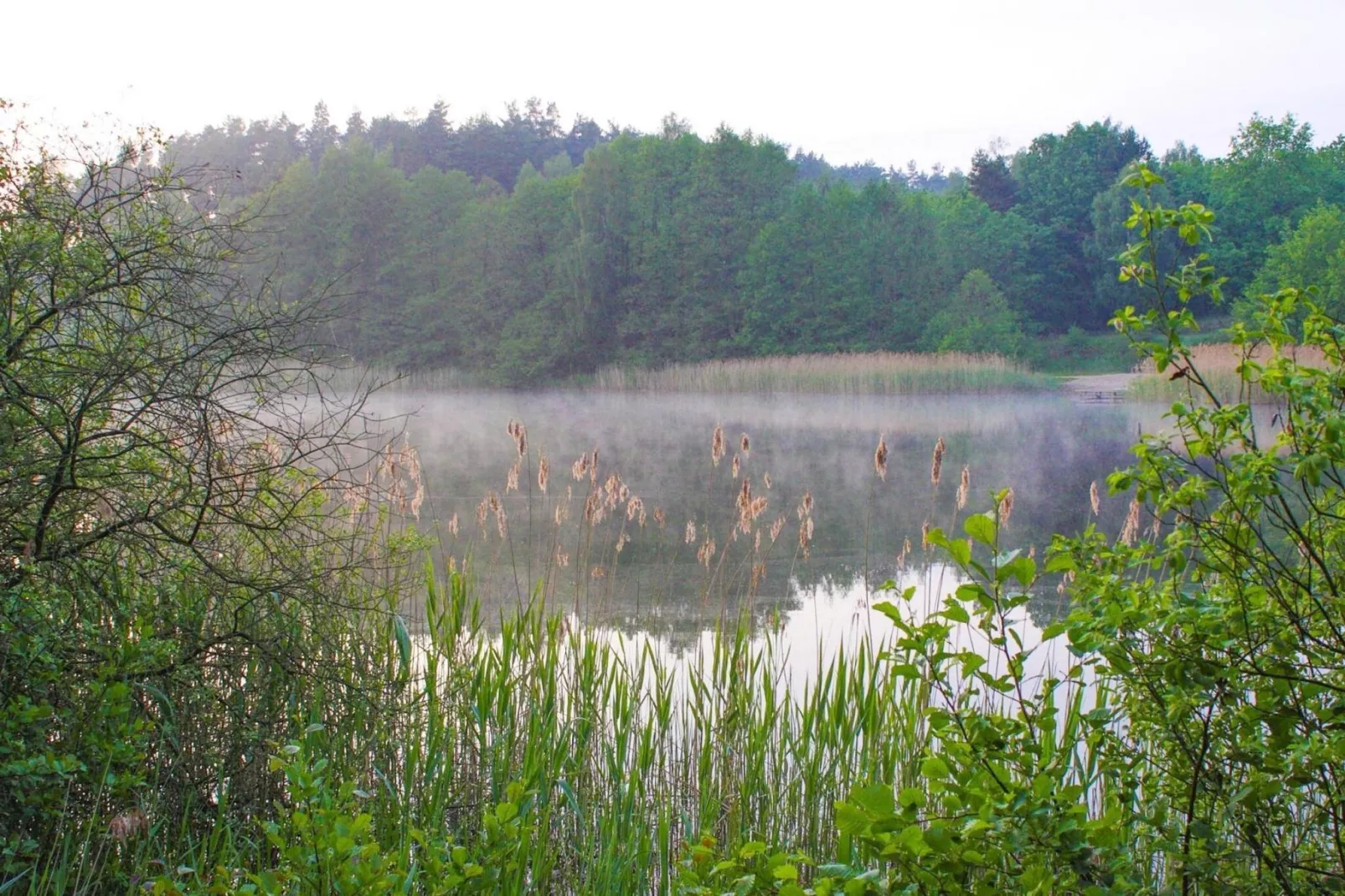 Doppelhaus Seestern-Areas summer 5km