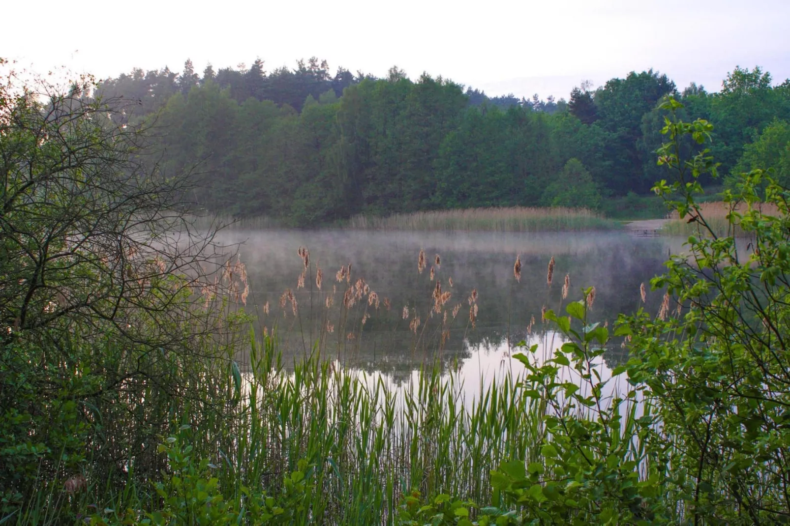 Doppelhaus Seepferdchen-Areas summer 1km