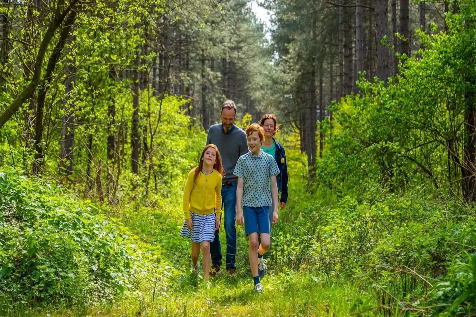 Resort Hoge Kempen 13-Areas summer 5km