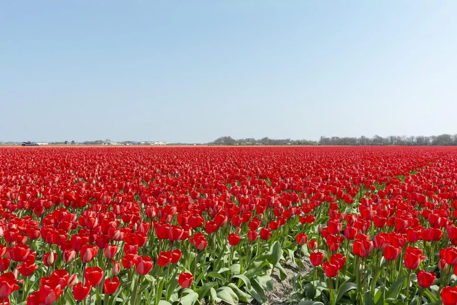 Wijde Blick 307-Zones d'été à 5 km