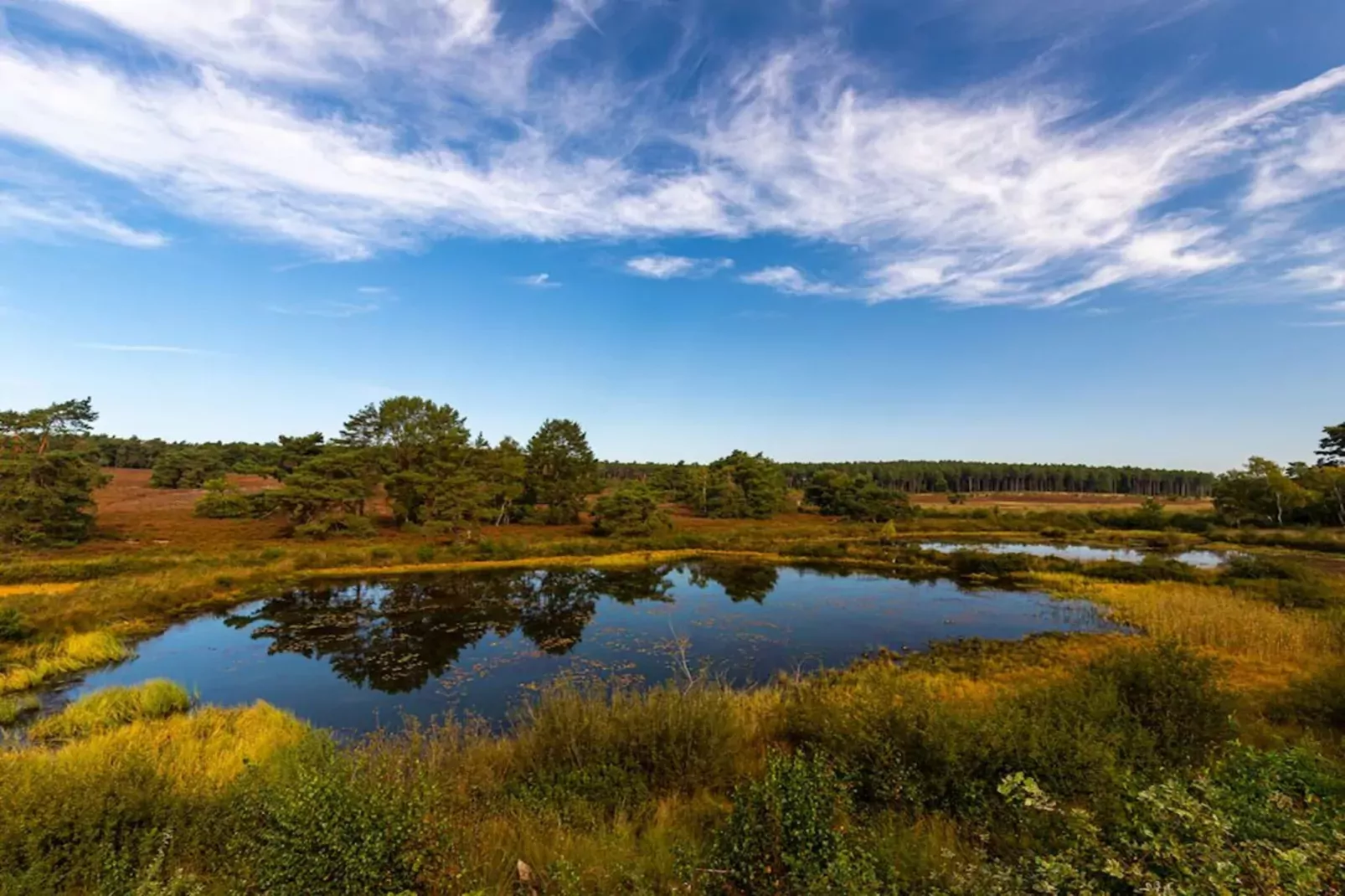 Resort Hoge Kempen 14-Areas summer 1km