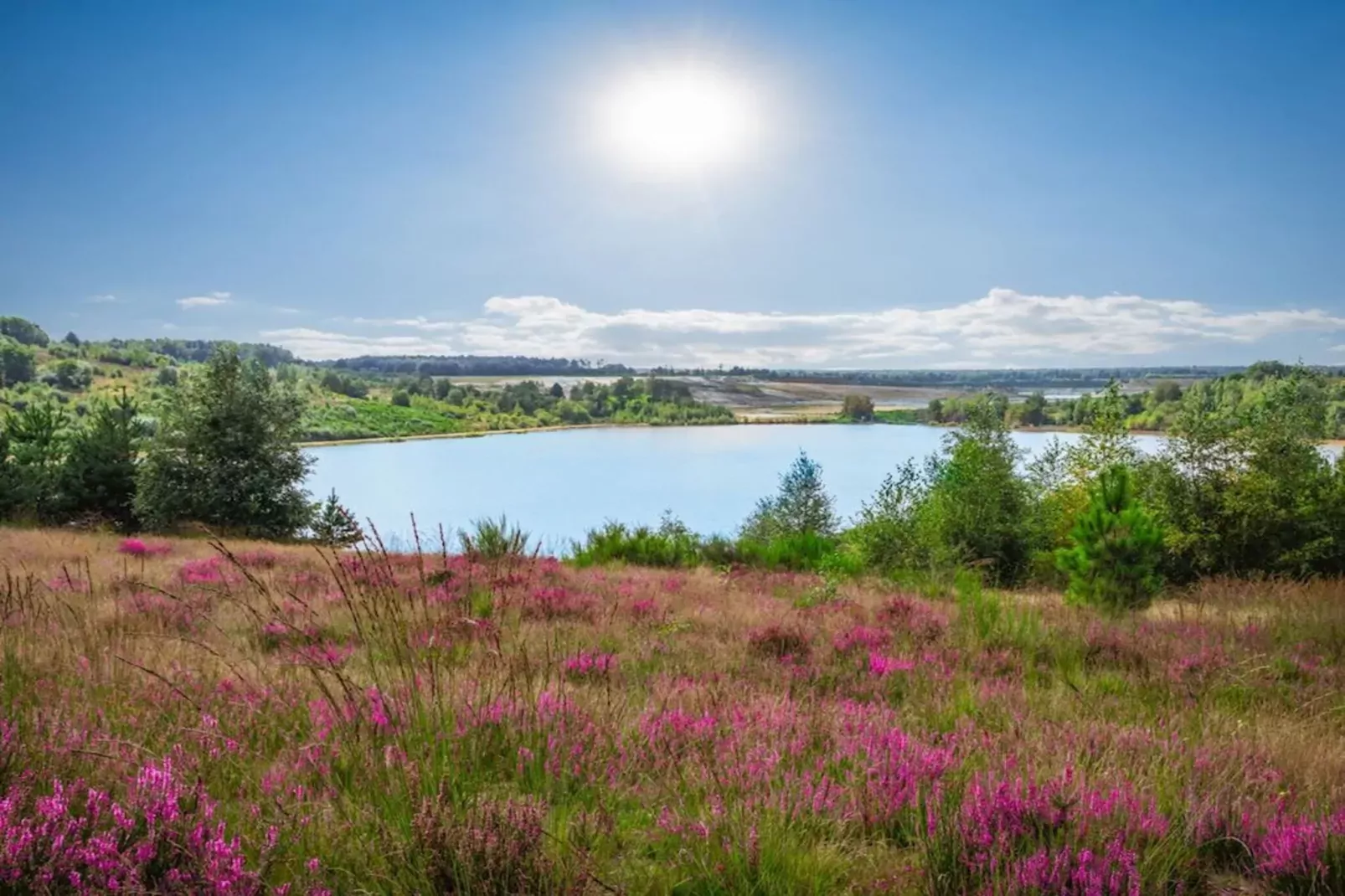Resort Hoge Kempen 14-Areas summer 1km