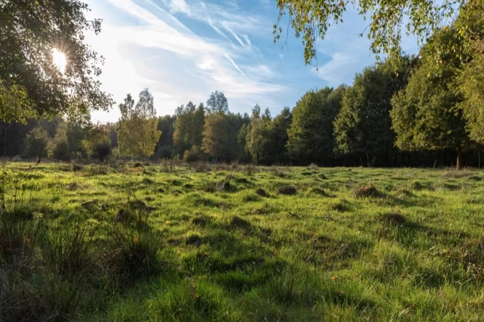 Resort Hoge Kempen 14-Areas summer 1km