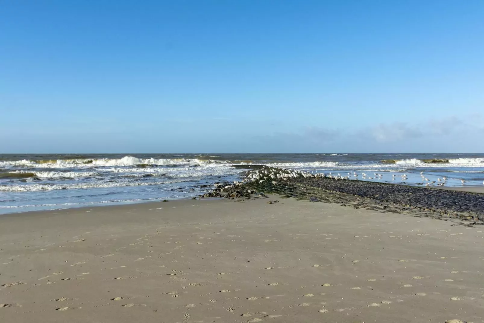 Wijde Blick 310-Areas summer 5km
