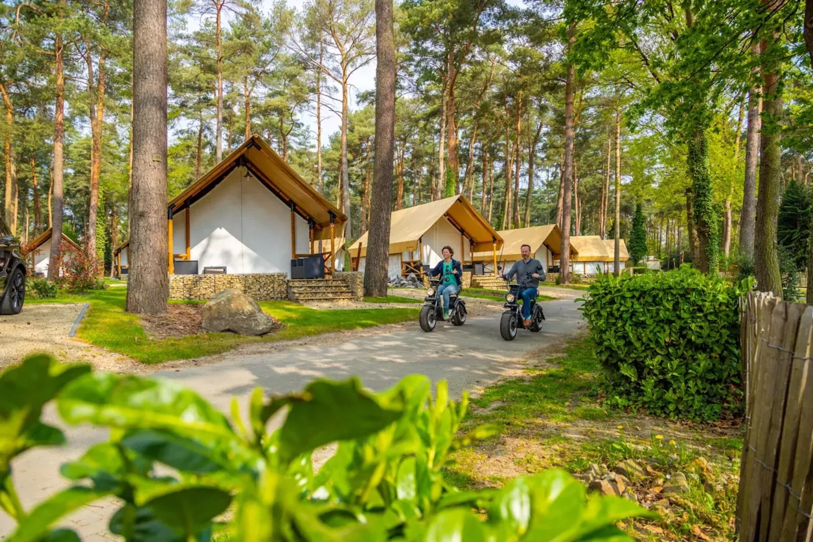 Resort Hoge Kempen 14-Areas summer 1km